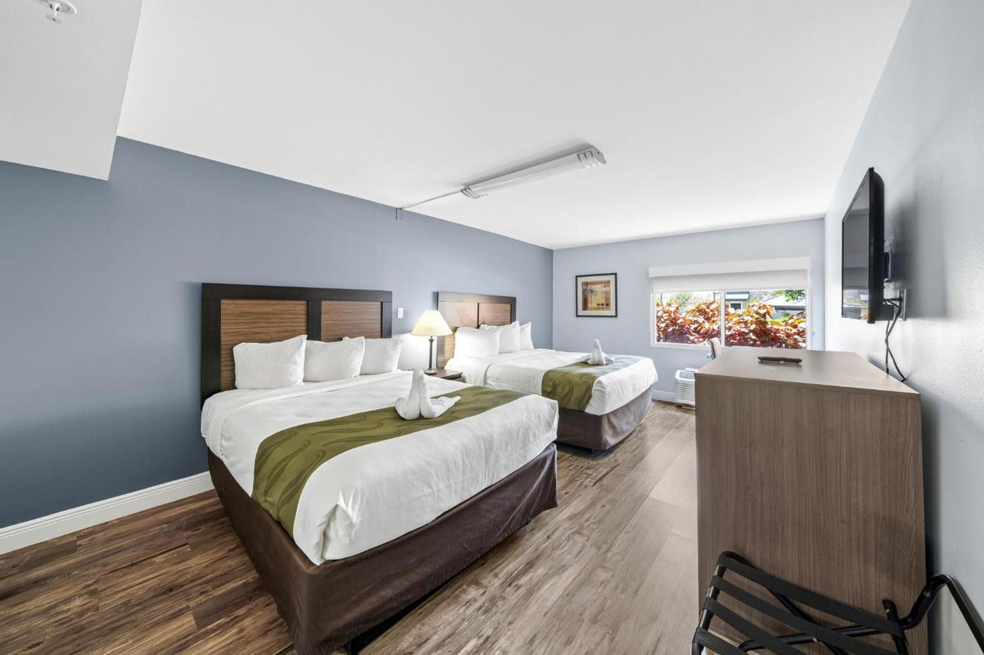 Quality Inn & Suites Tampa near Fairgrounds and Casino photo 46
