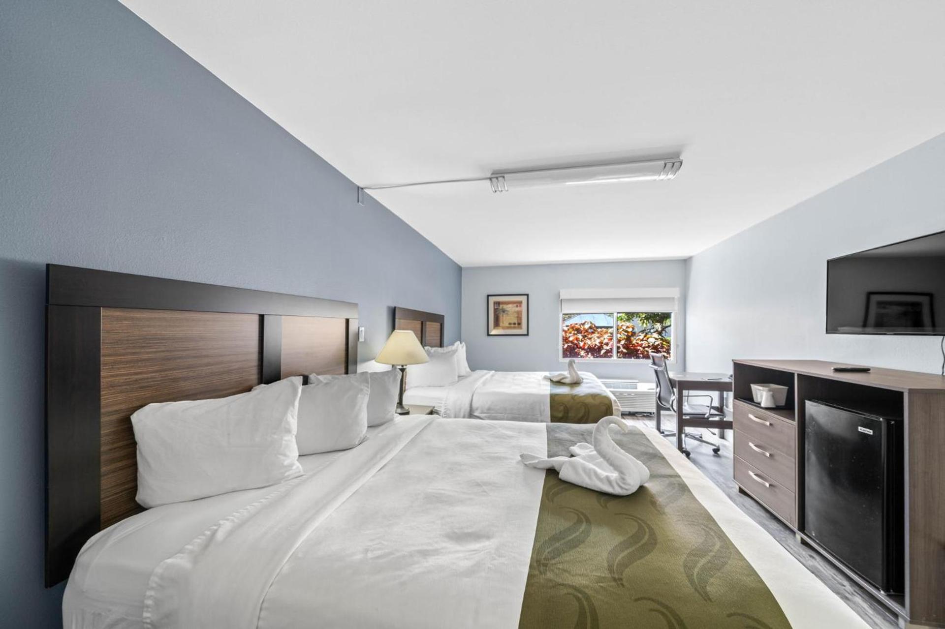 Quality Inn & Suites Tampa near Fairgrounds and Casino photo 49