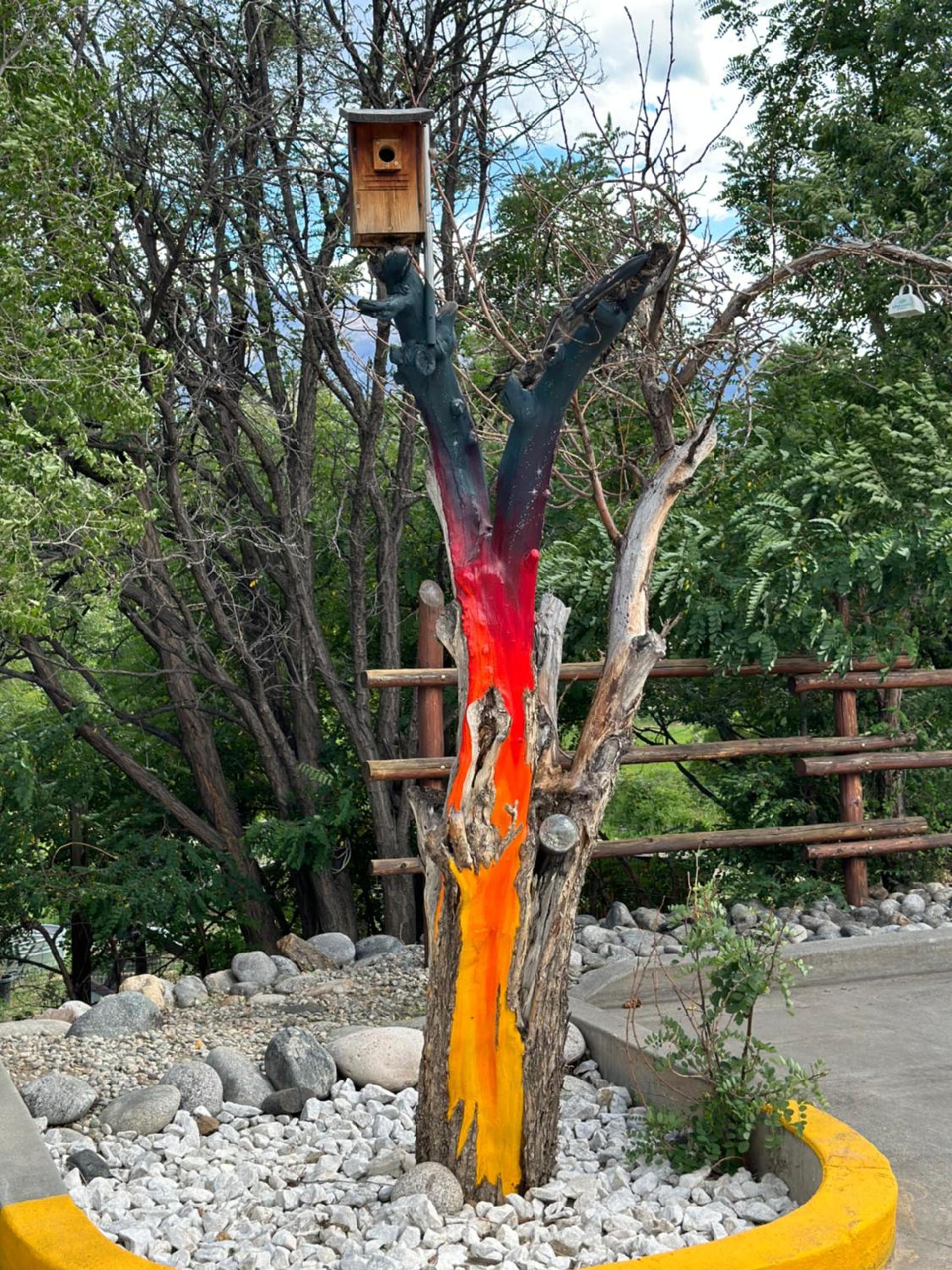 Browns Canyon Inn photo 82