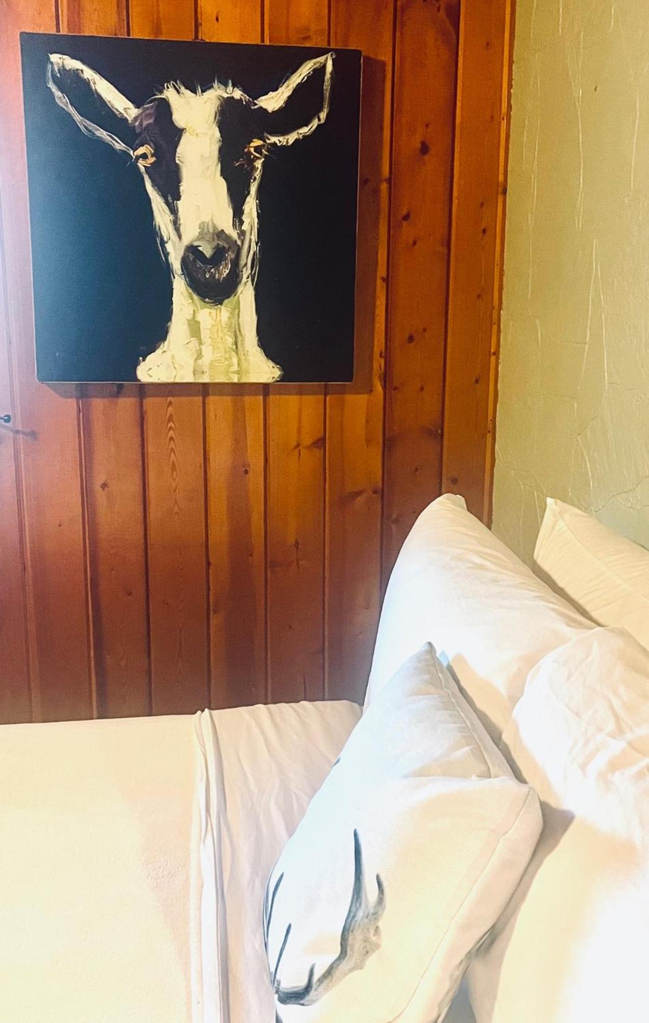 Lodge at Poncha Springs photo 30
