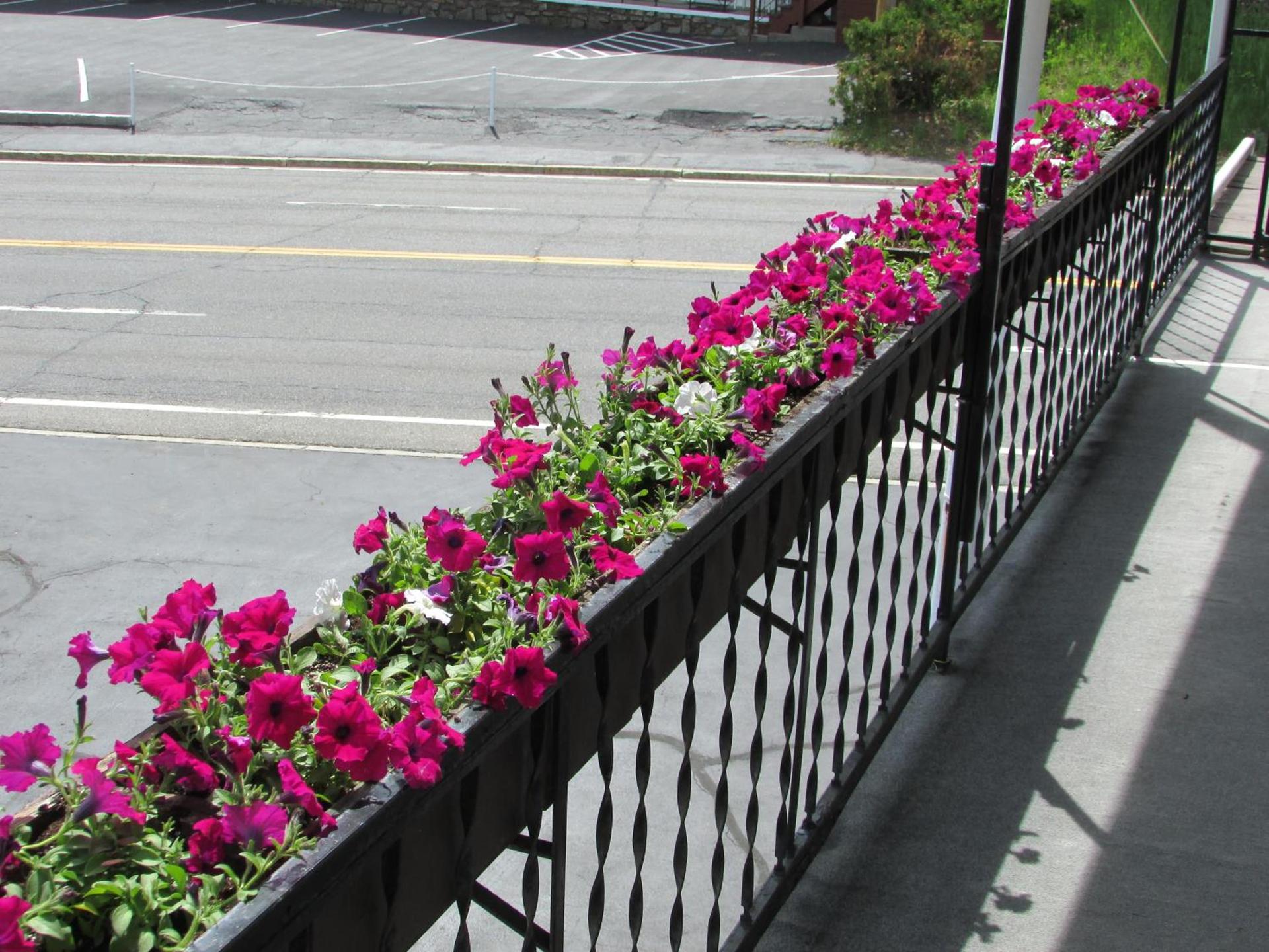 The Lake George Inn photo 29