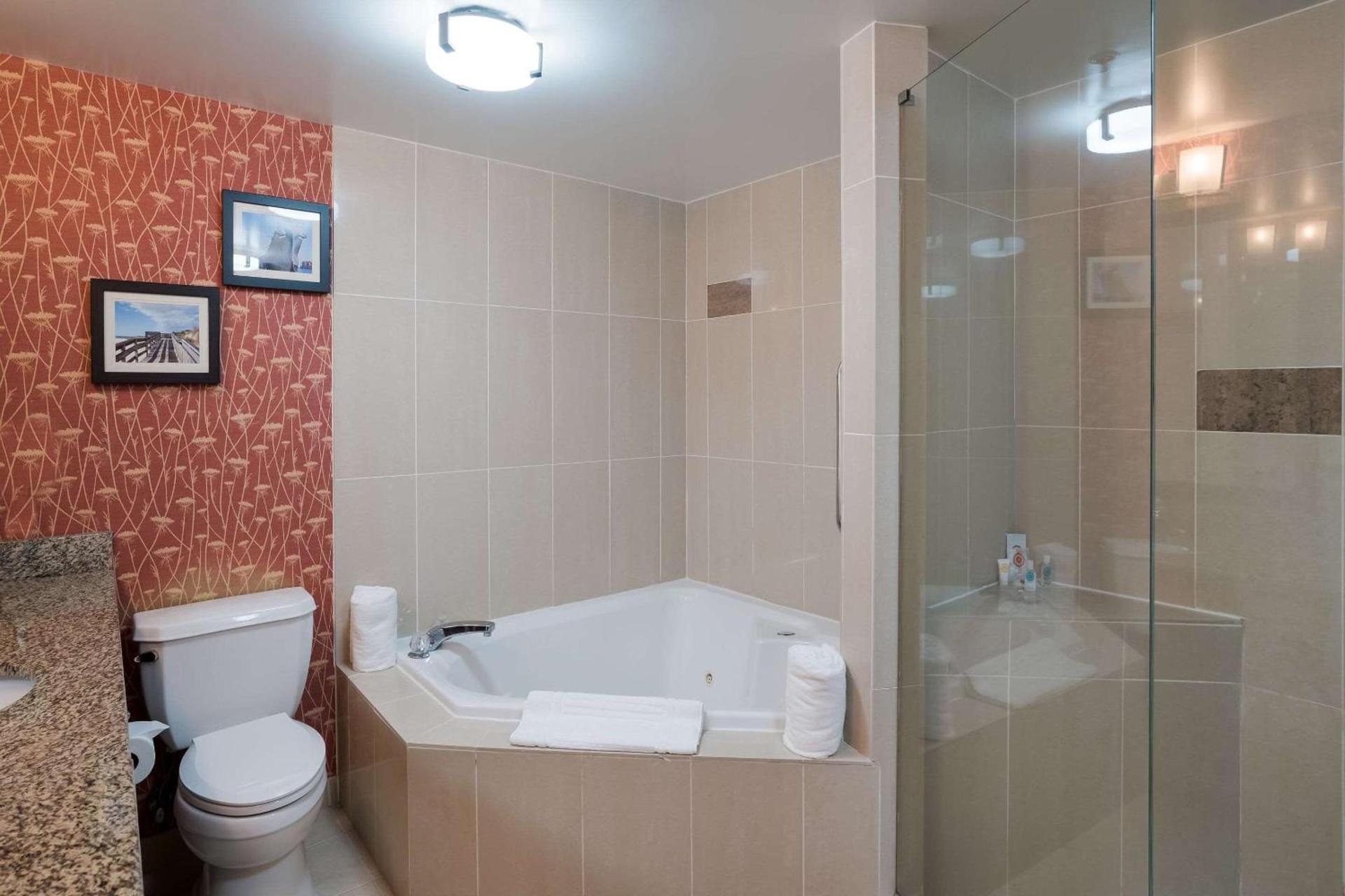 Comfort Suites Suffolk - Chesapeake photo 9