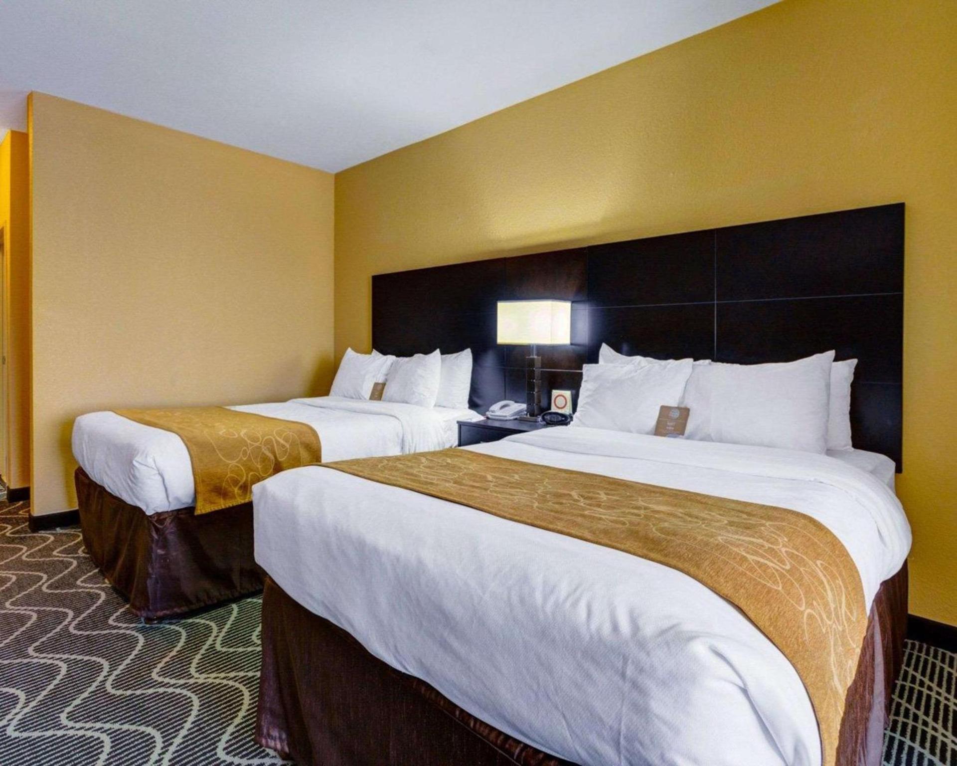 Comfort Suites Lake Ray Hubbard photo 25