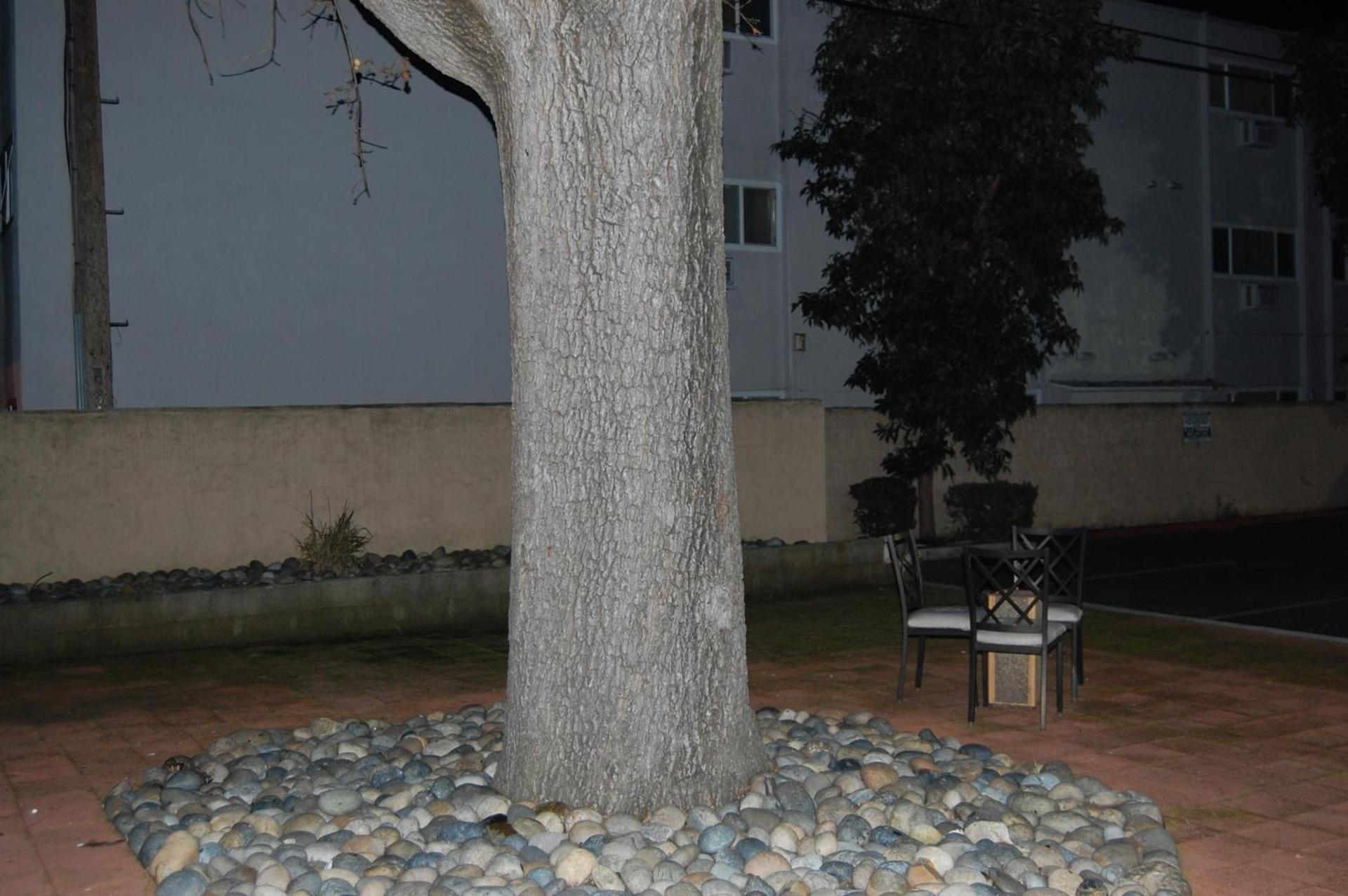 Pleasant Hill Inn photo 19