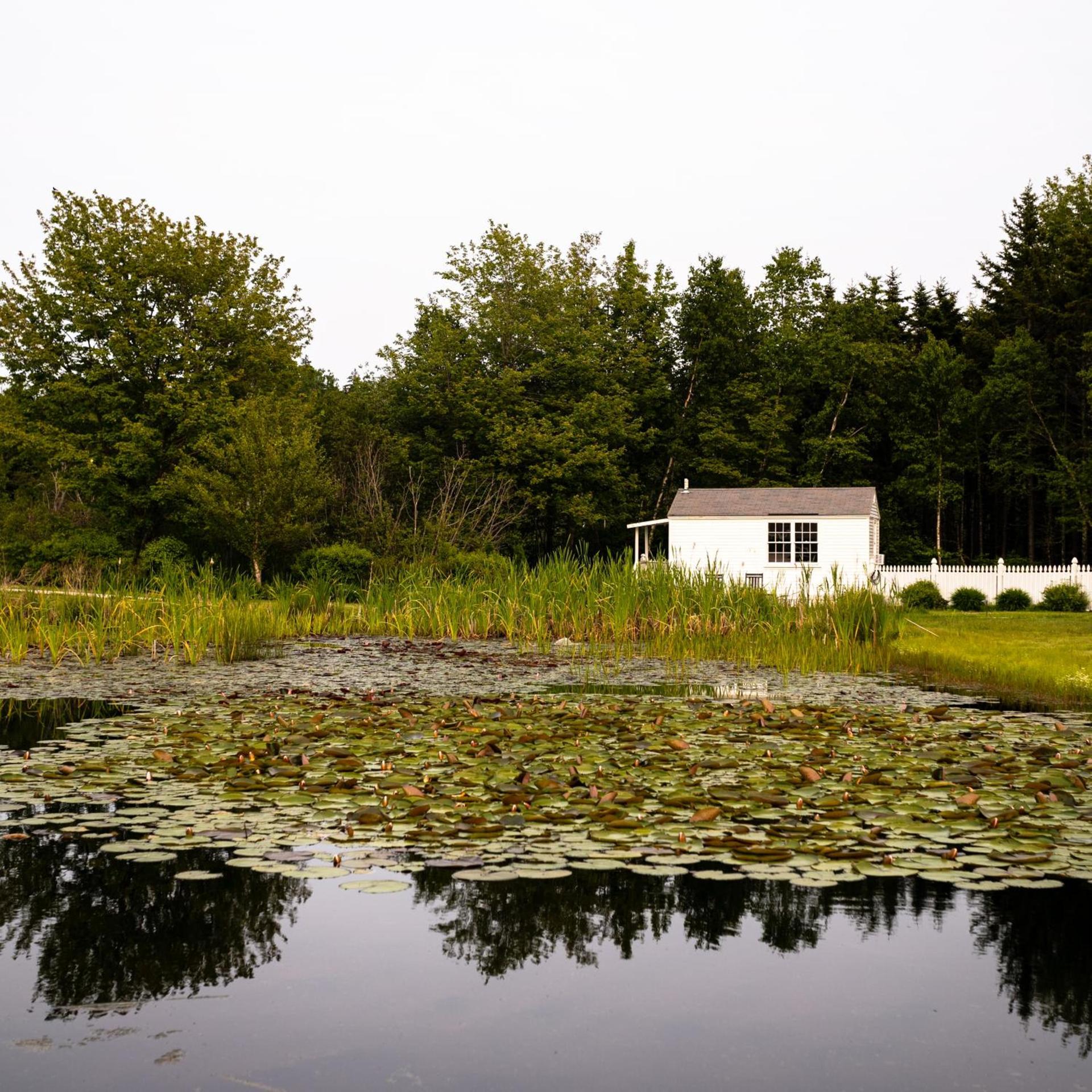 Bluebird Ocean Point Inn photo 30