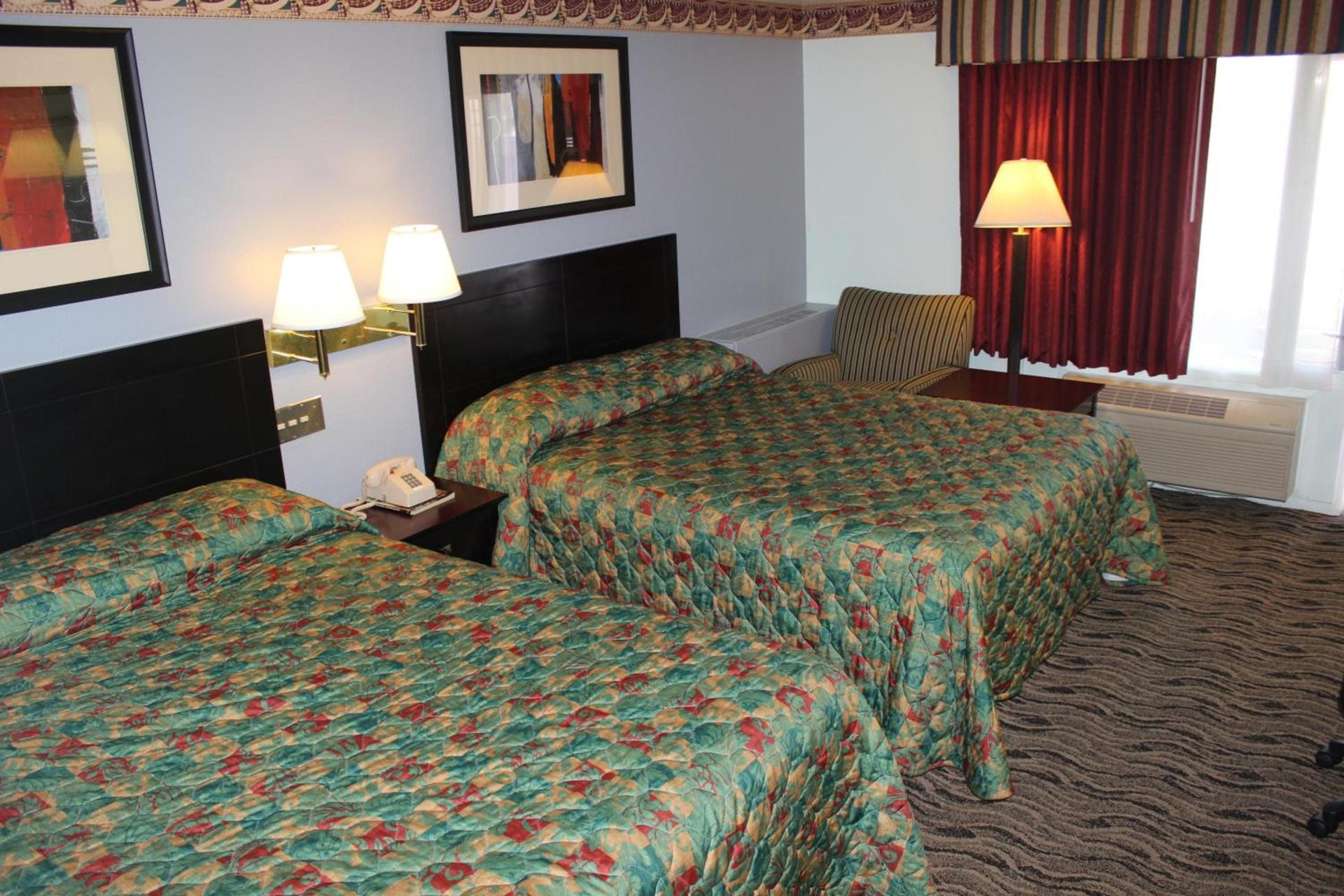Safari Inn photo 31