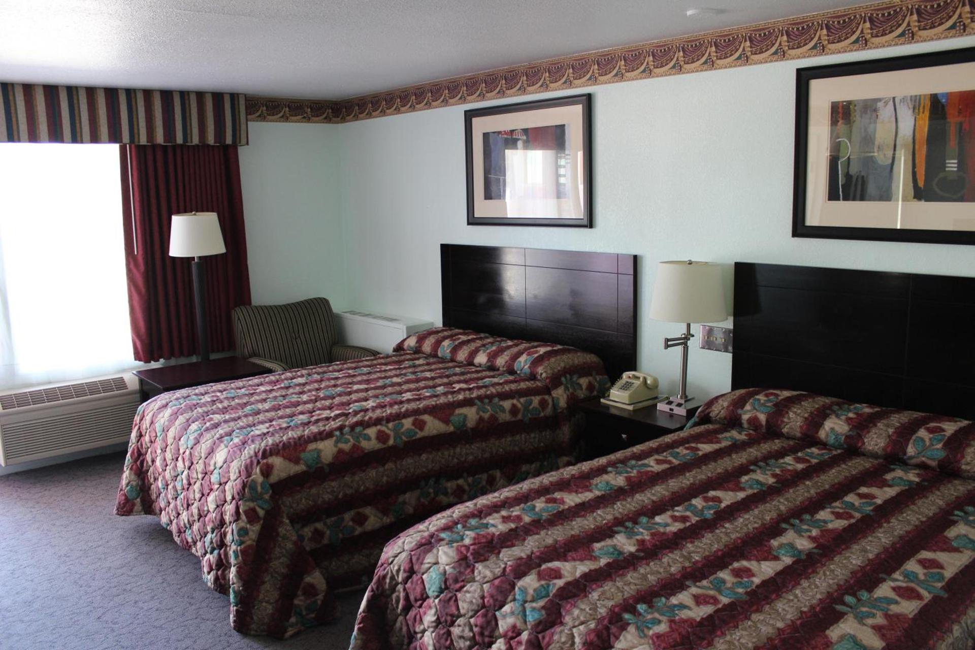 Safari Inn photo 33