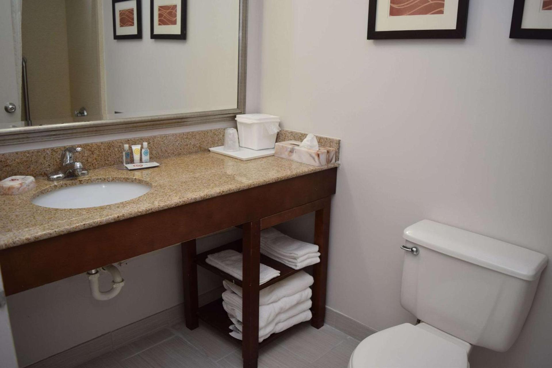 Comfort Inn & Suites Syracuse-Carrier Circle photo 26