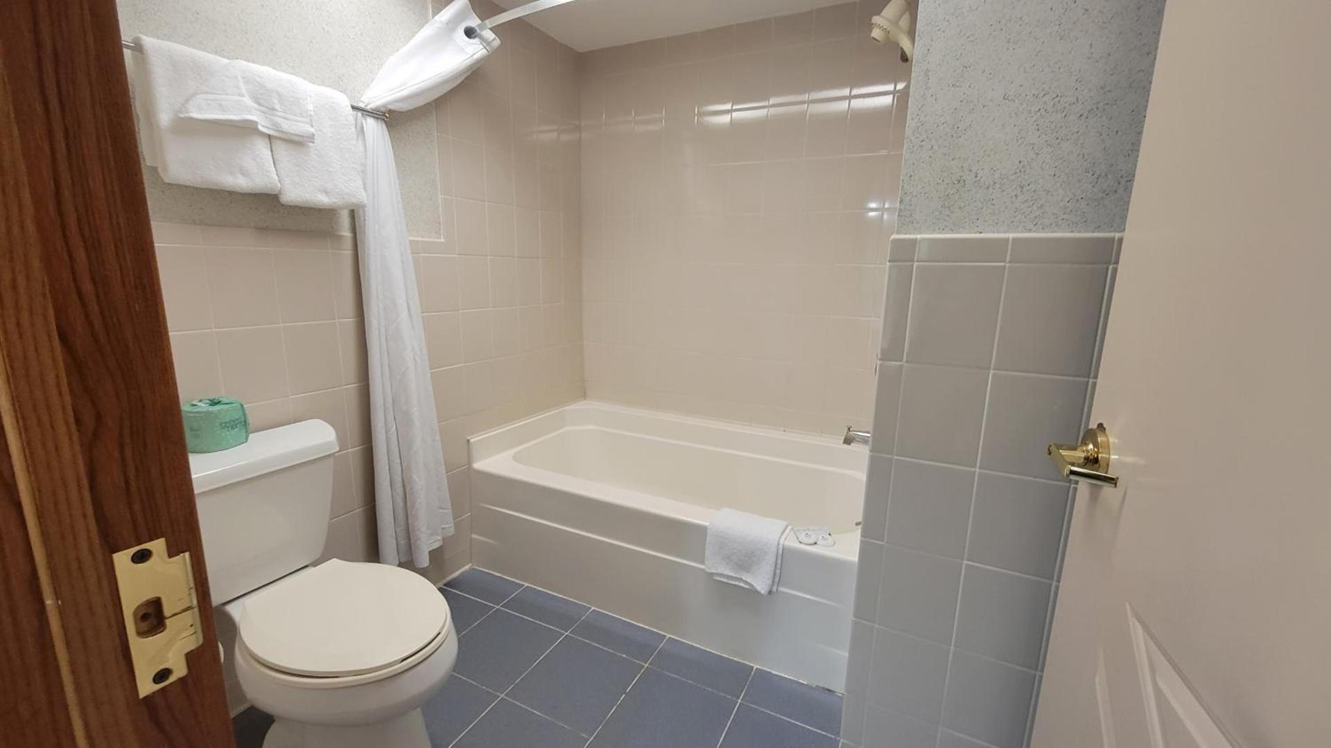 Ramada by Wyndham Saginaw Hotel & Suites photo 32