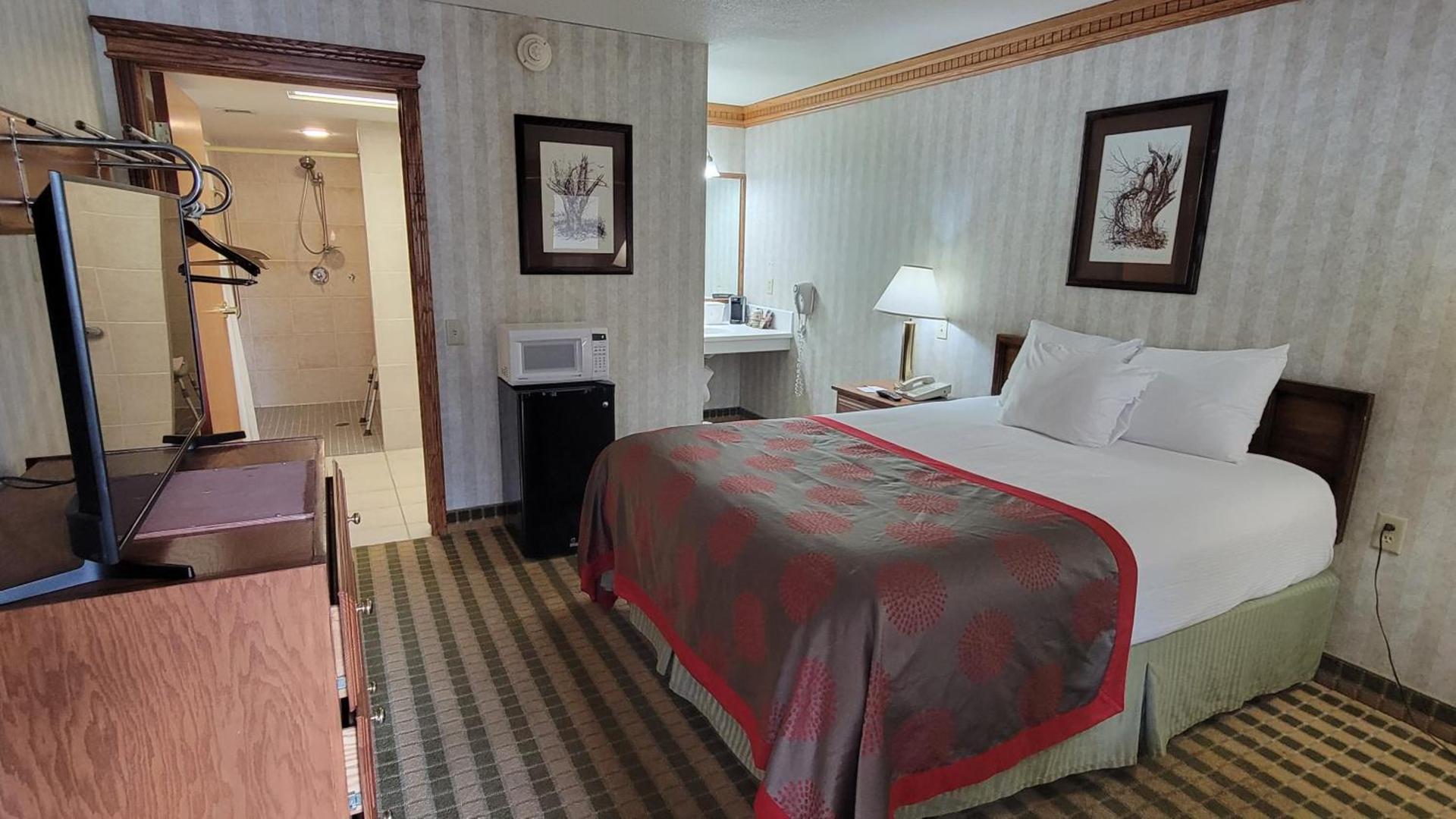 Ramada by Wyndham Saginaw Hotel & Suites photo 37