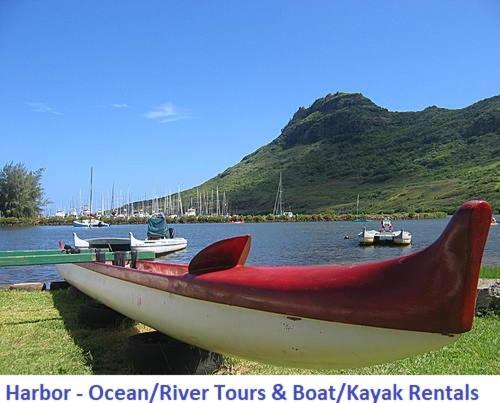 Banyan Harbor photo 26