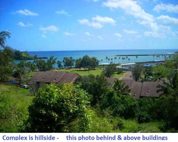 Banyan Harbor photo 5
