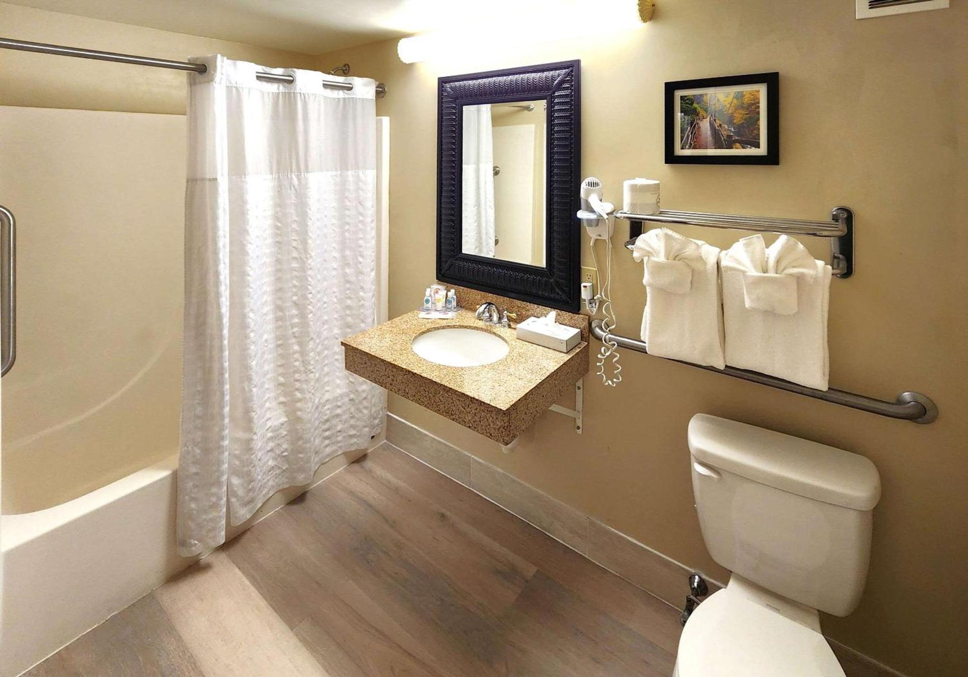 Comfort Inn & Suites Mount Pocono photo 10