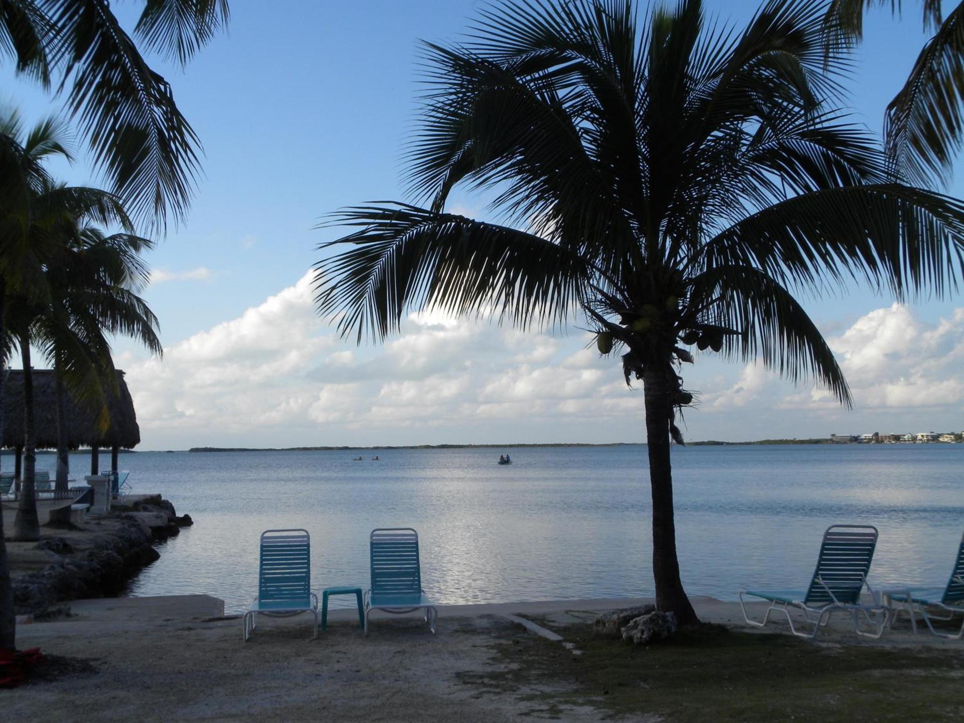 Rock Reef Resort photo 25