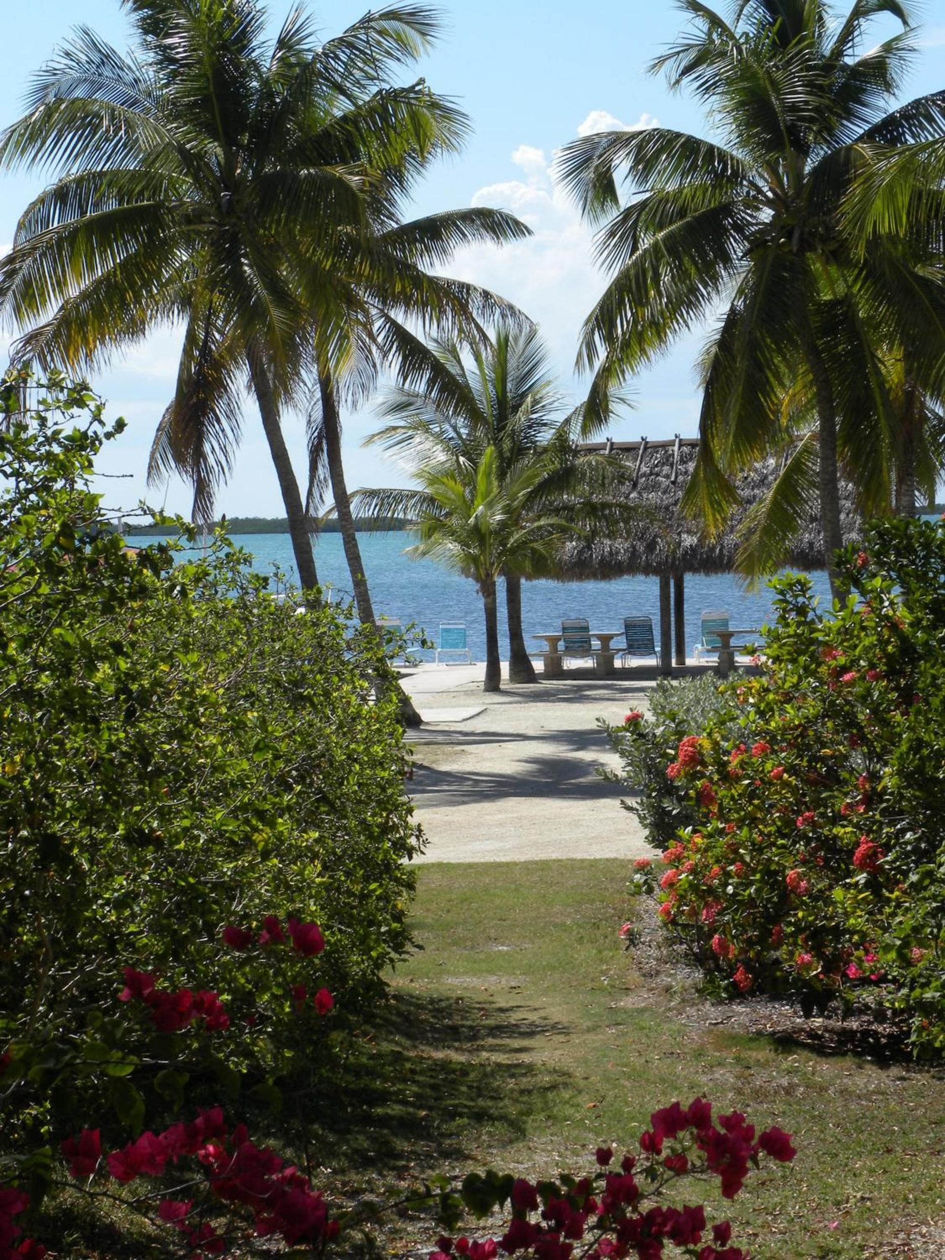 Rock Reef Resort photo 17