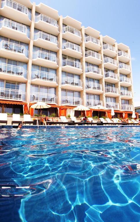 Ocean Club Hotel photo 23