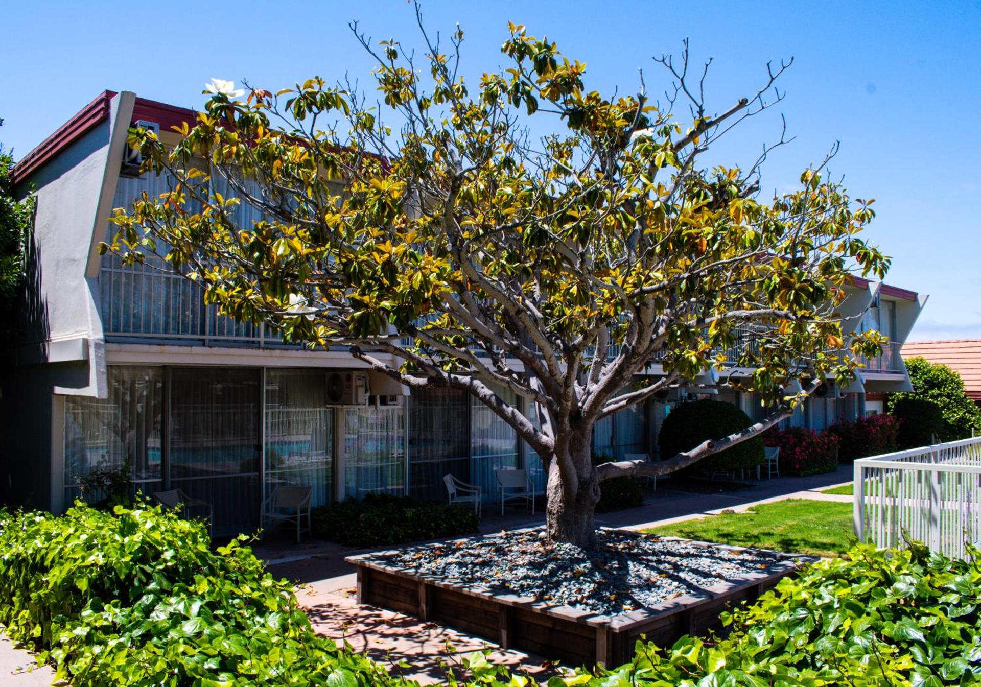 Travelodge by Wyndham Monterey Bay photo 42