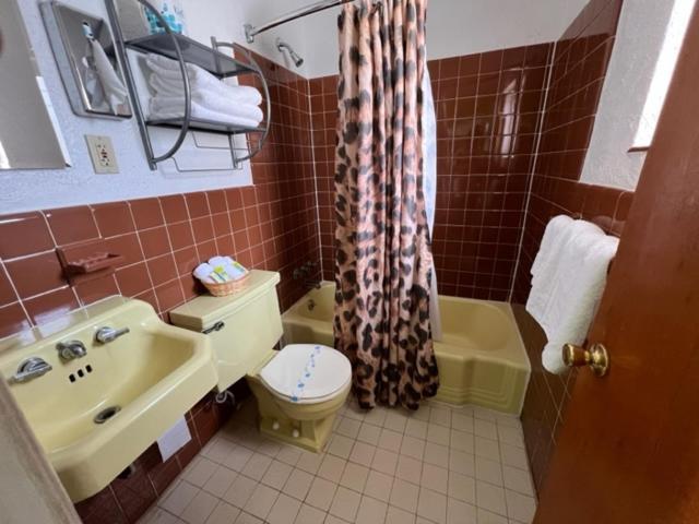 Caribbean Motel photo 30
