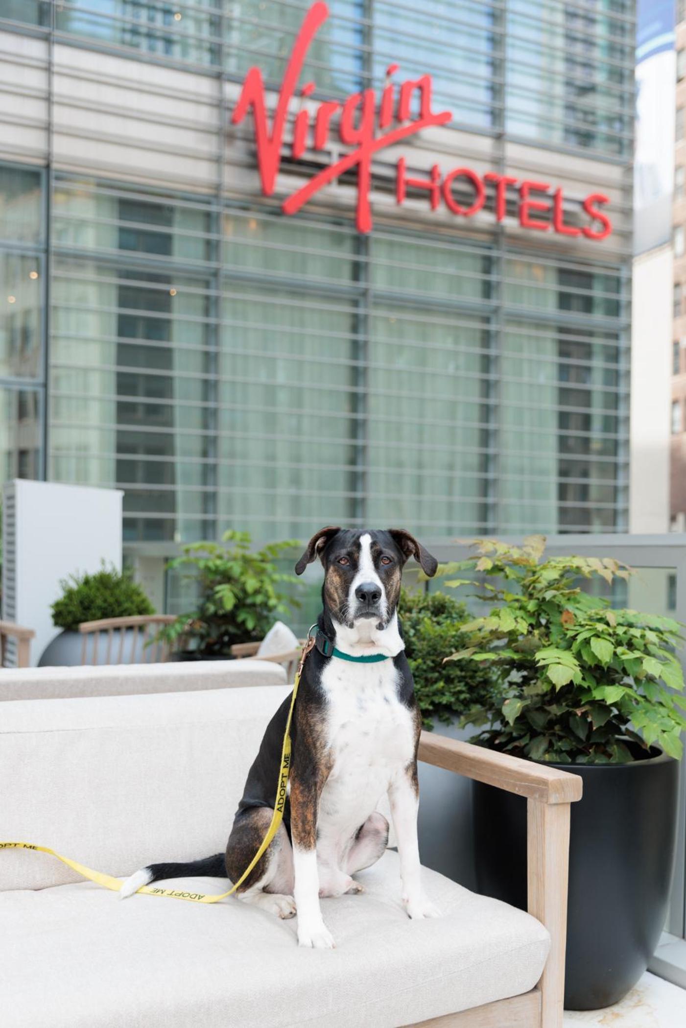 Virgin Hotels New York City photo 24