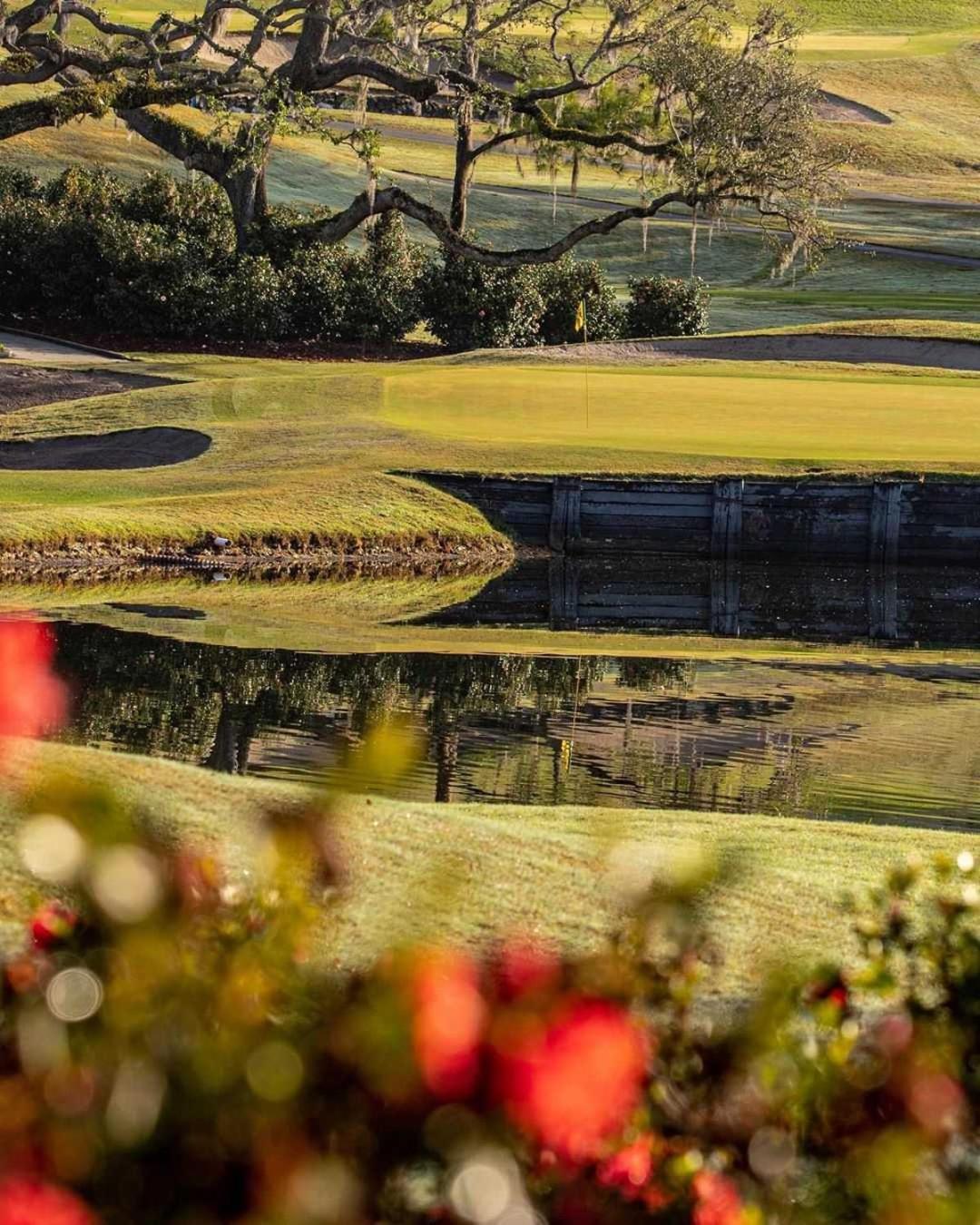 Mission Resort and Club photo 51