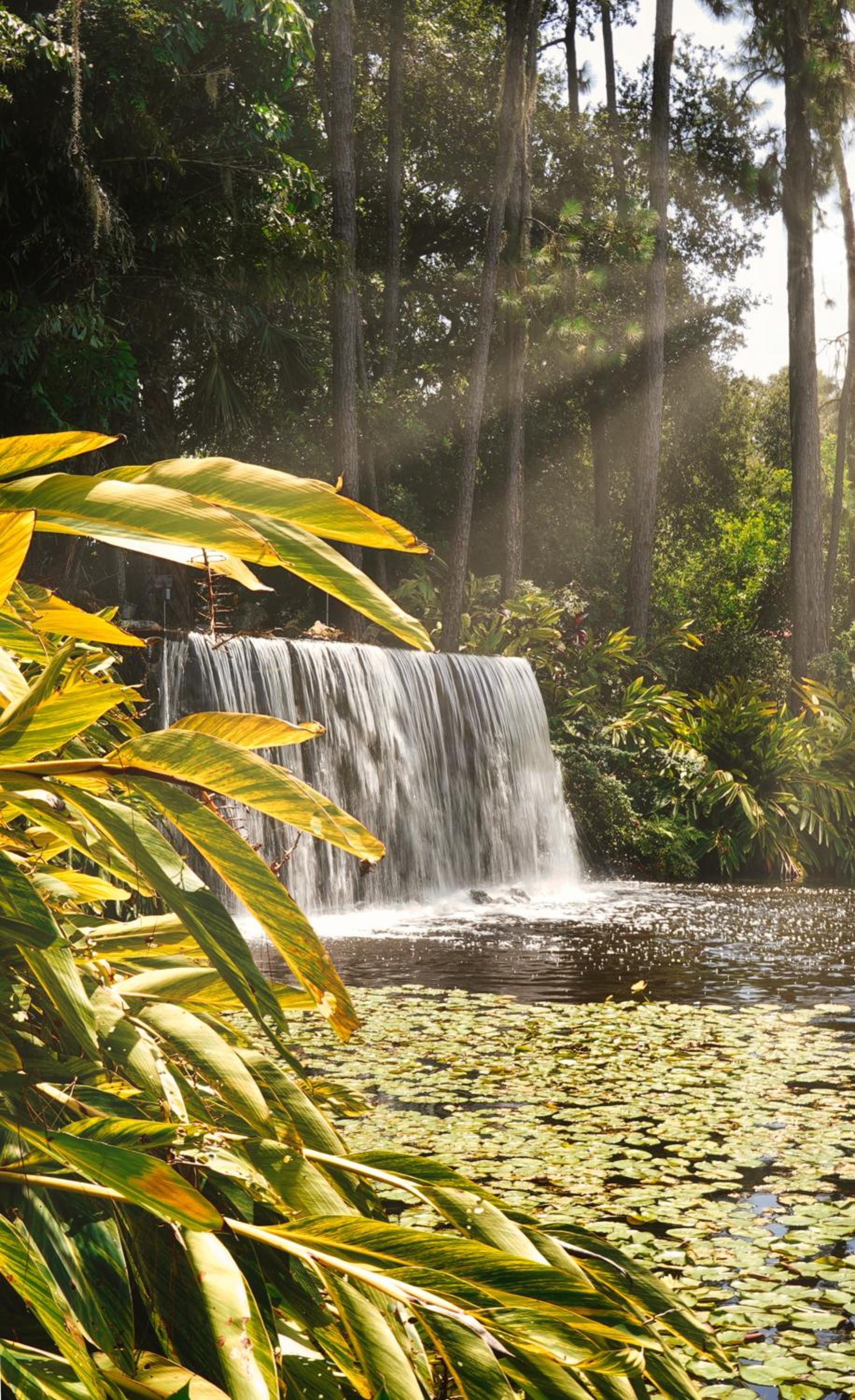 Mission Resort and Club photo 71