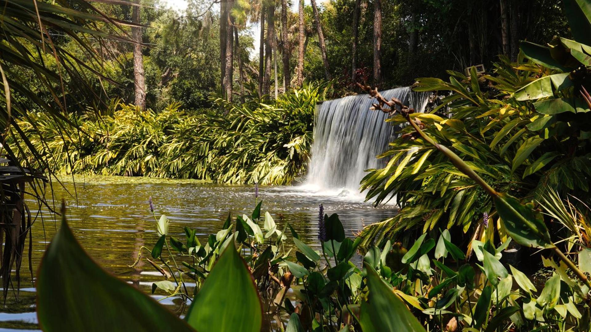 Mission Resort and Club photo 73