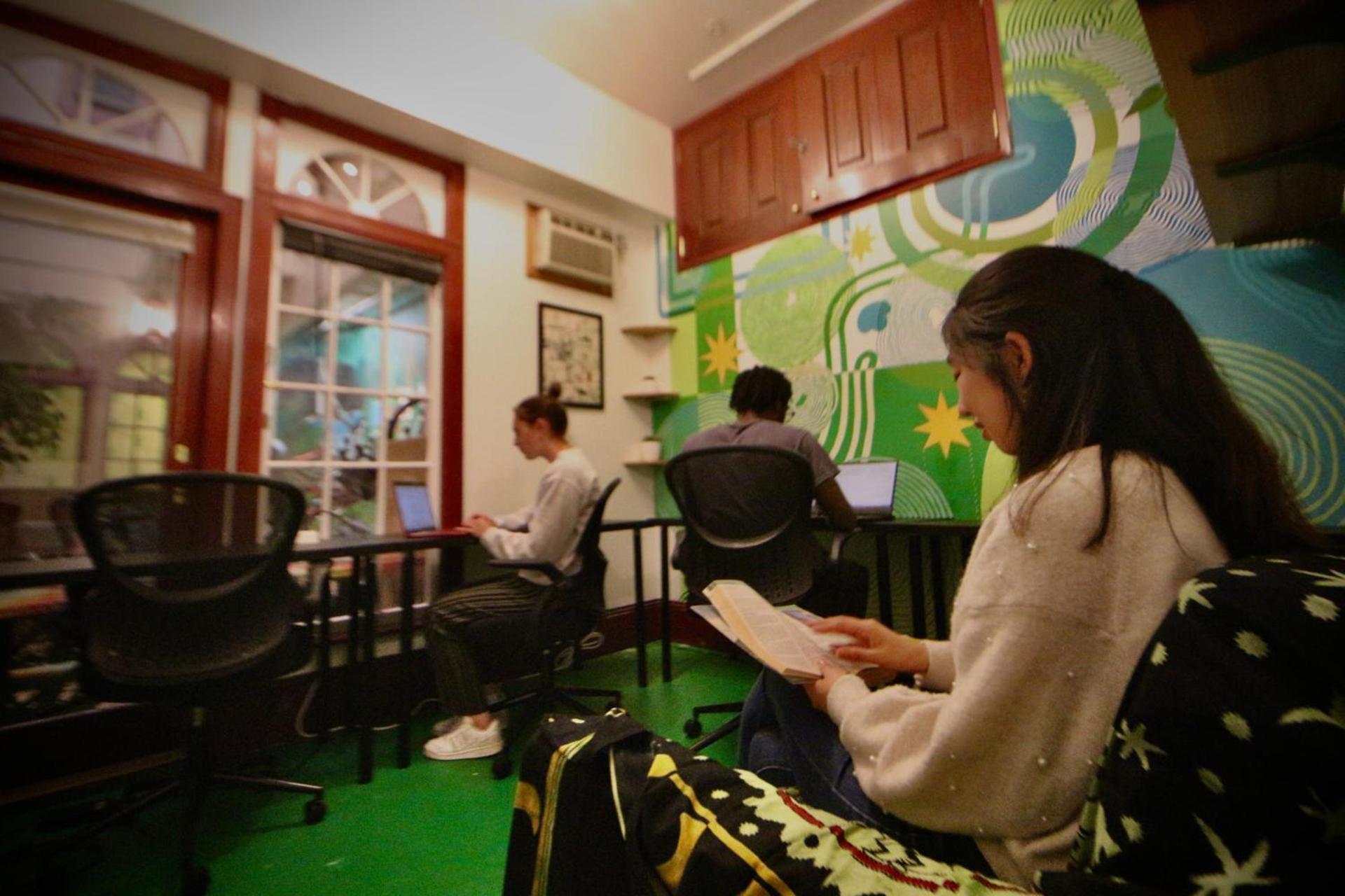 Green Tortoise Hostel photo 6