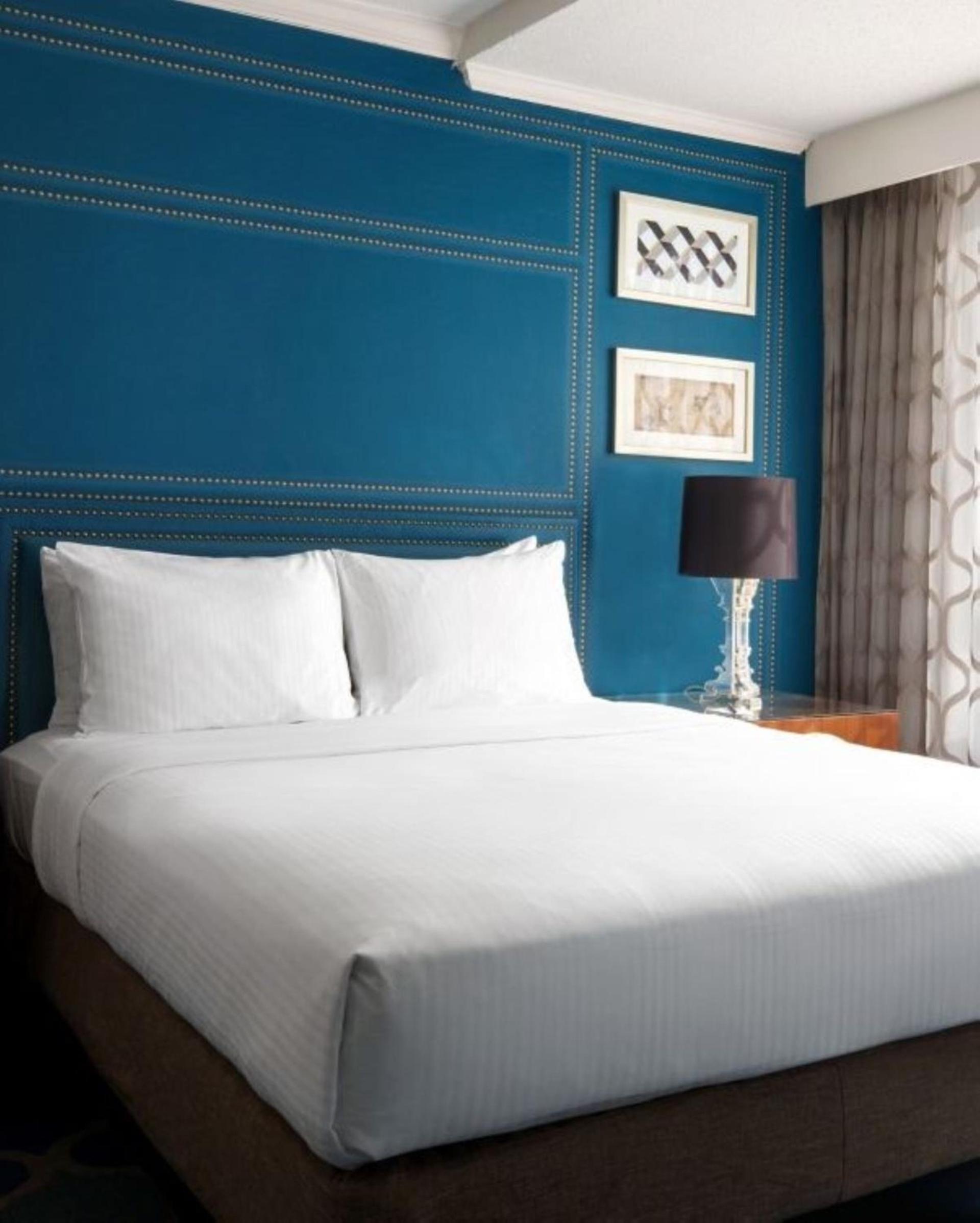 The Ven at Embassy Row, Washington, D.C., a Tribute Portfolio Hotel photo 70