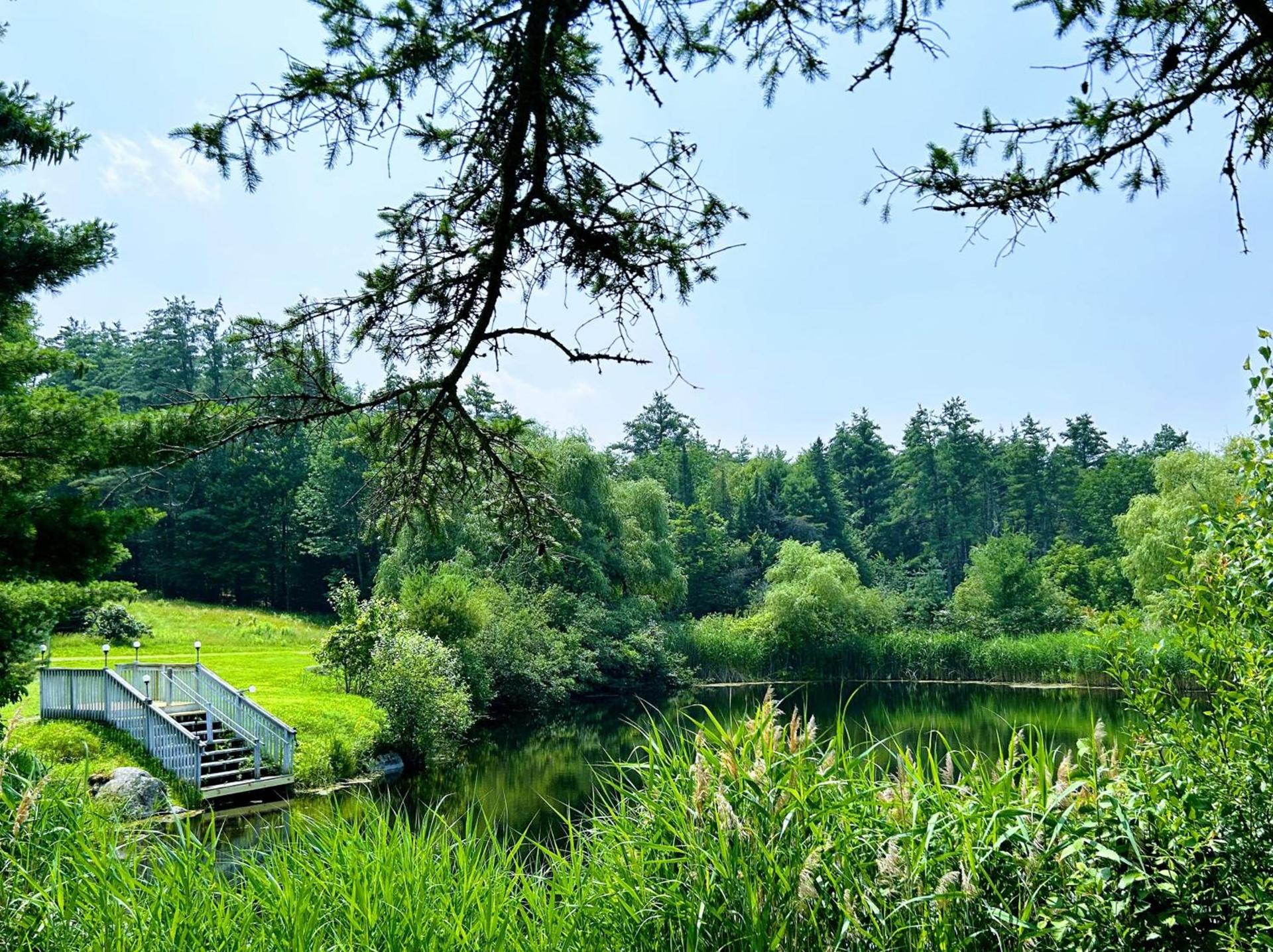 NewVida Preserve photo 61
