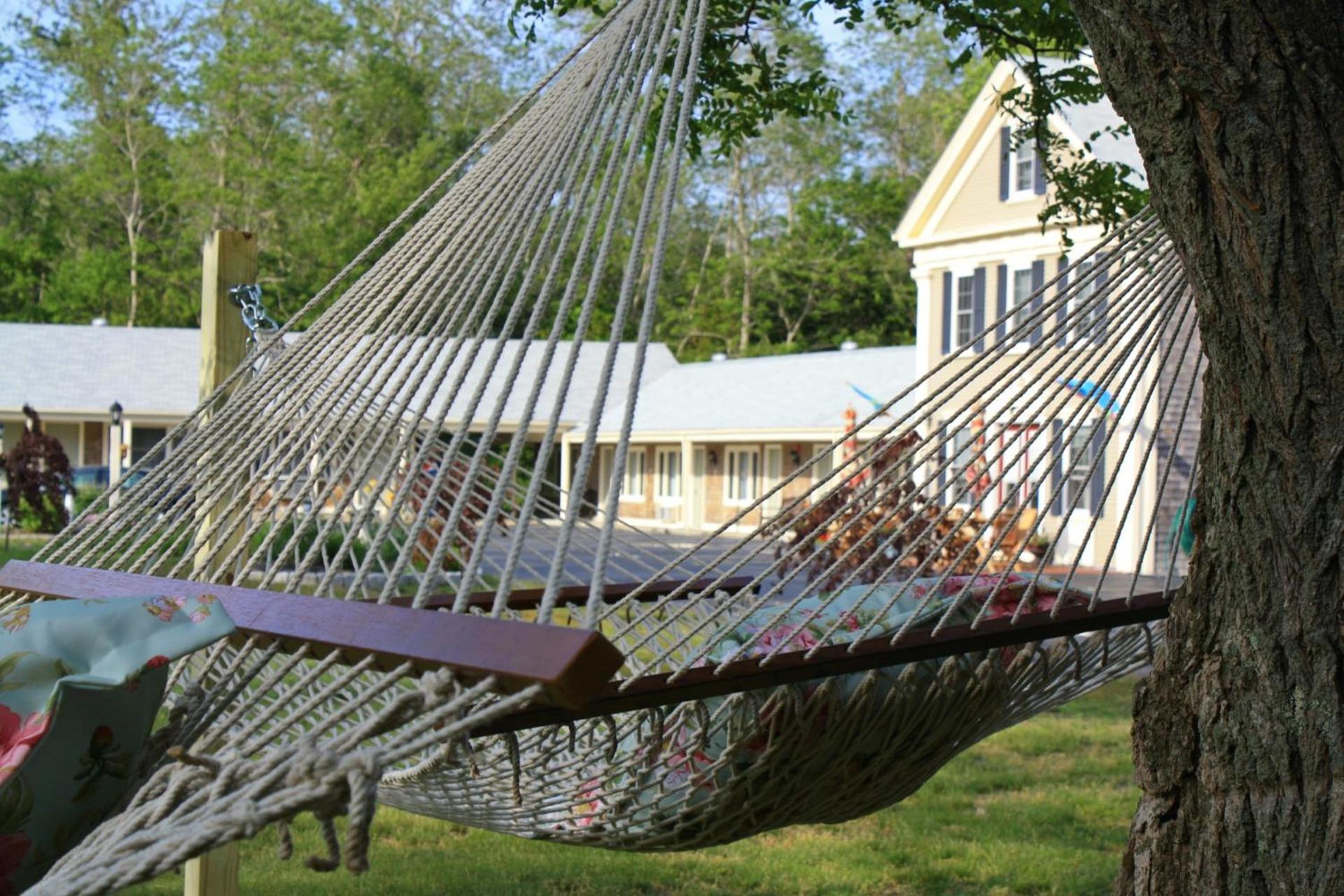 Eagle Wing Inn - Cape Cod photo 26
