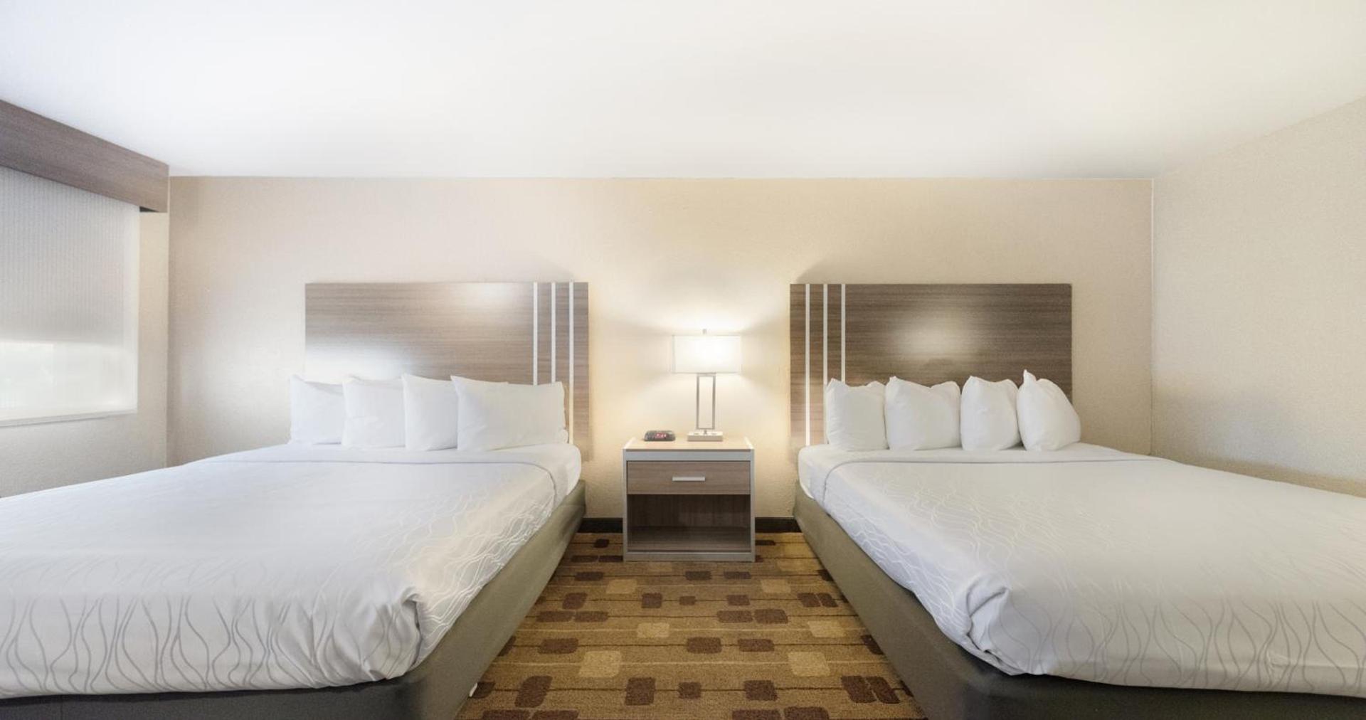 Best Western Amador Inn photo 77