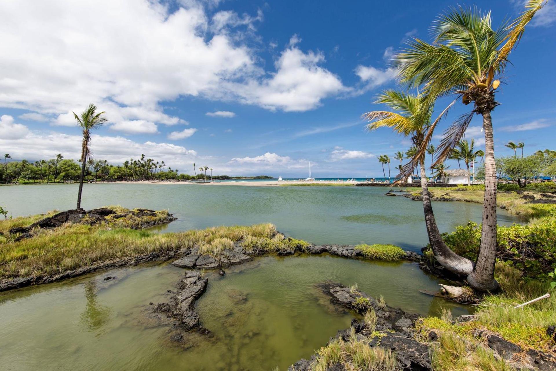 Marriott’s Waikoloa Ocean Club photo 44