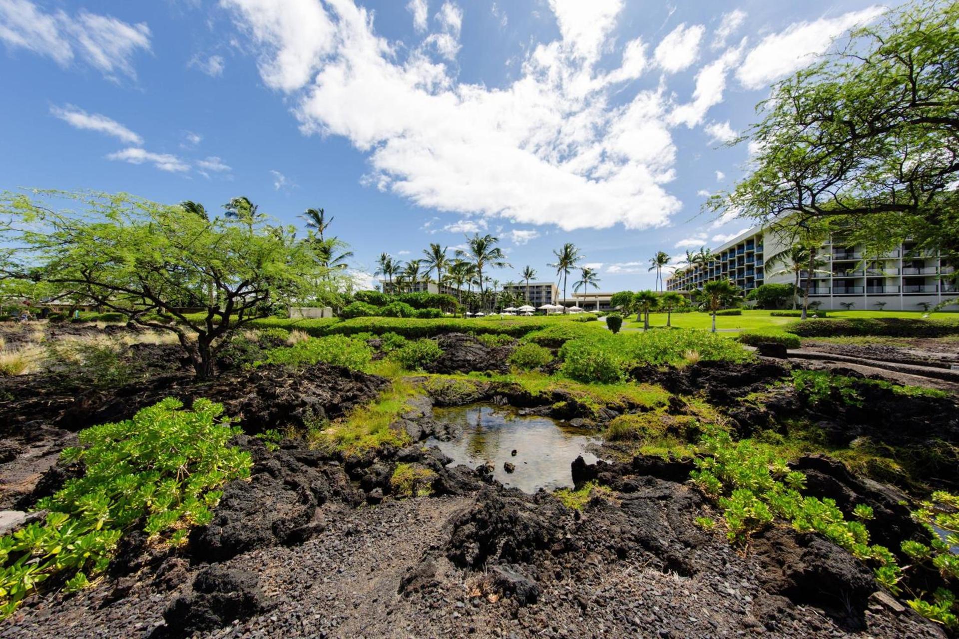 Marriott’s Waikoloa Ocean Club photo 45