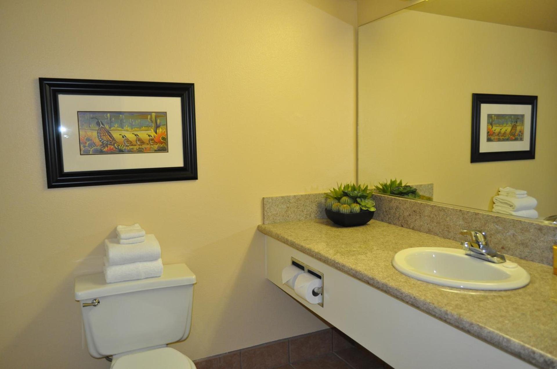 Avi Resort & Casino photo 29