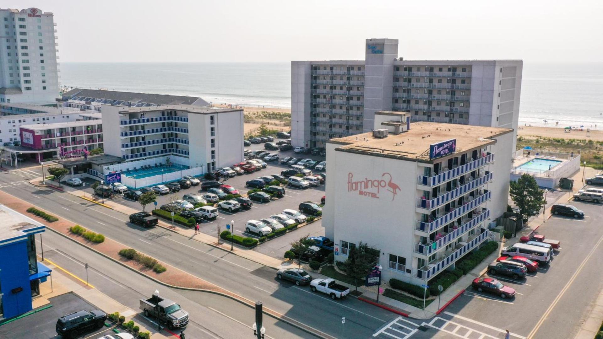 Flamingo Motel photo 28