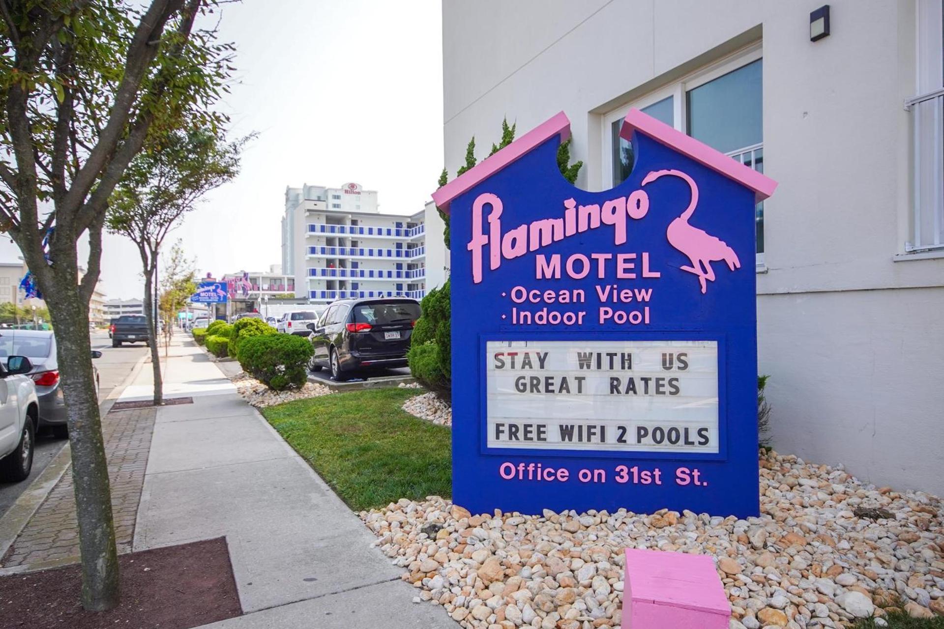 Flamingo Motel photo 36