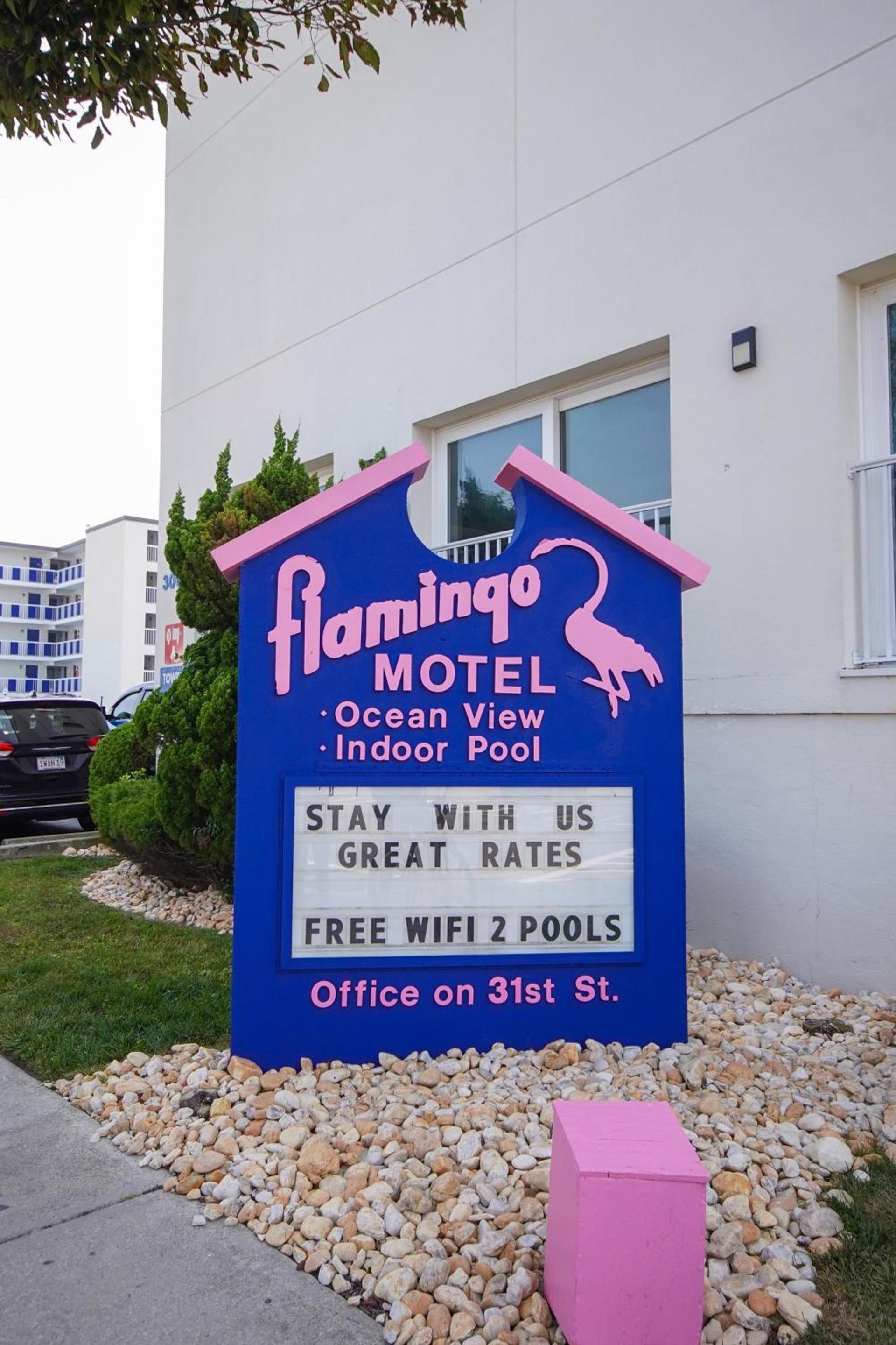 Flamingo Motel photo 37