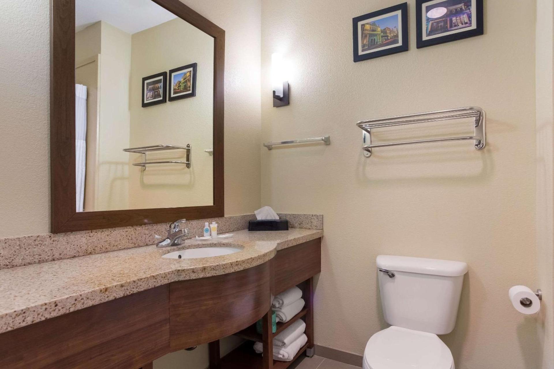 Comfort Suites Saraland - North Mobile photo 5