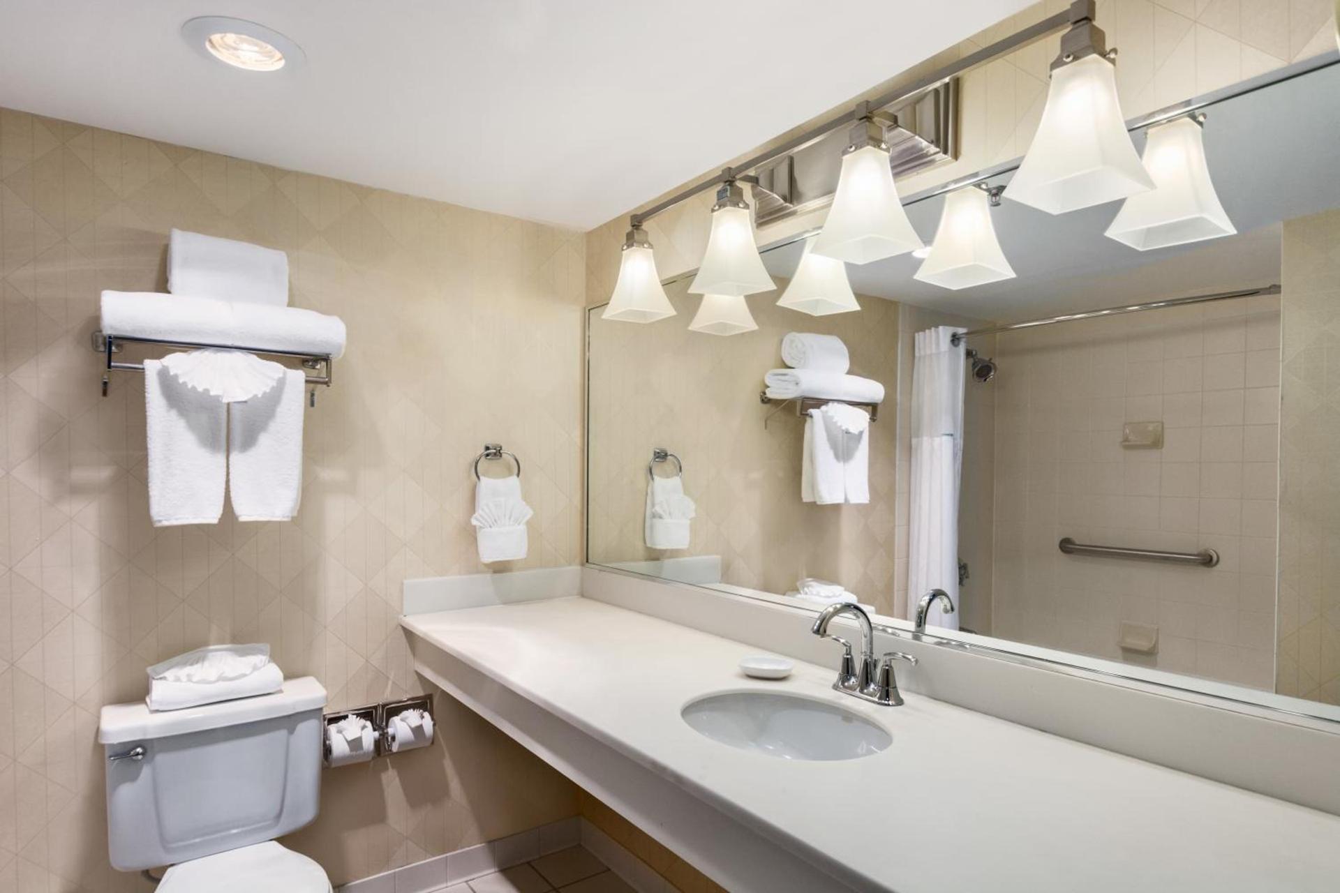 Wyndham Garden Dallas North photo 20