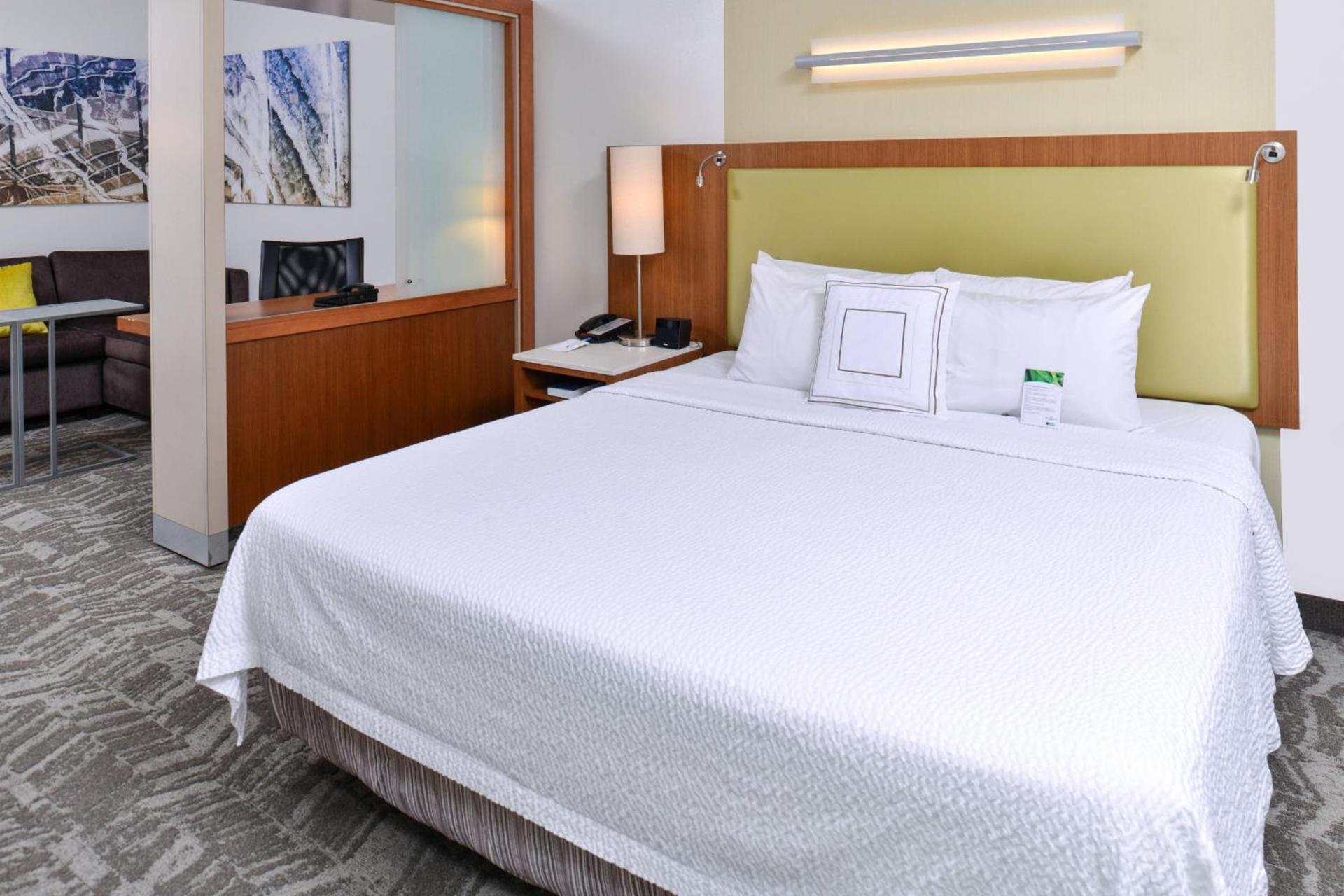 Springhill Suites by Marriott Detroit Metro Airport Romulus photo 17