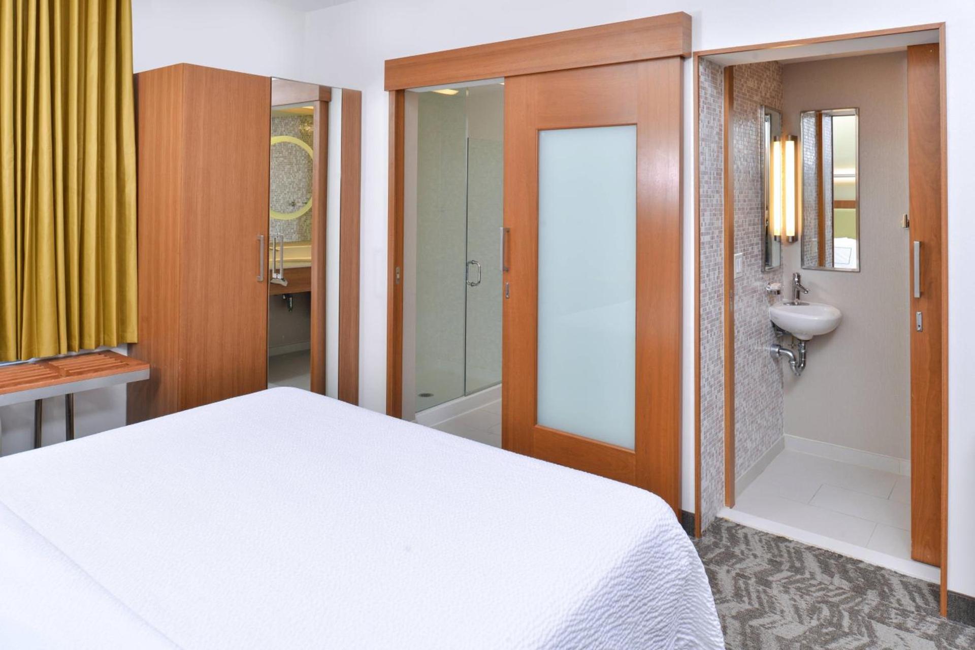Springhill Suites by Marriott Detroit Metro Airport Romulus photo 18