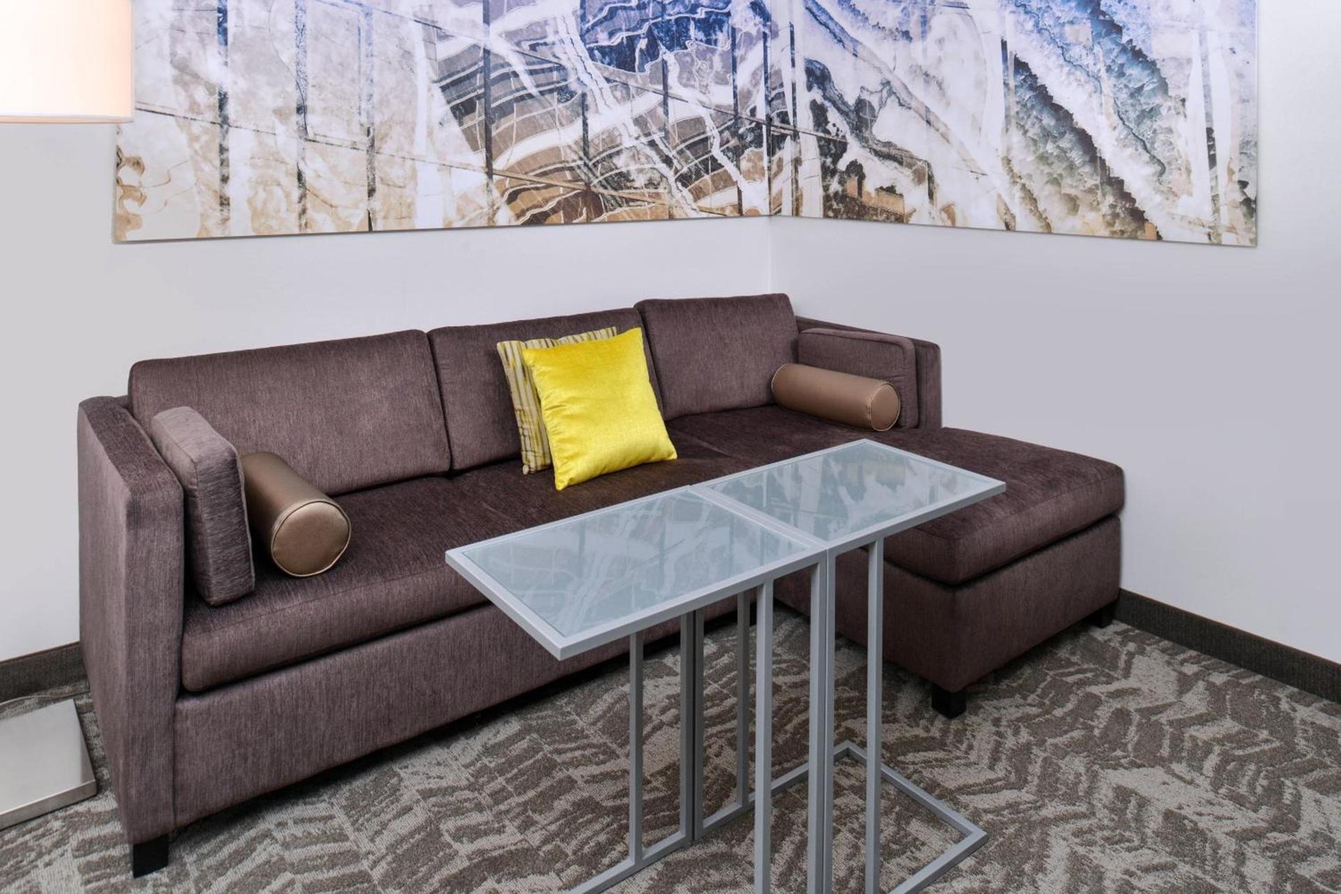 Springhill Suites by Marriott Detroit Metro Airport Romulus photo 19