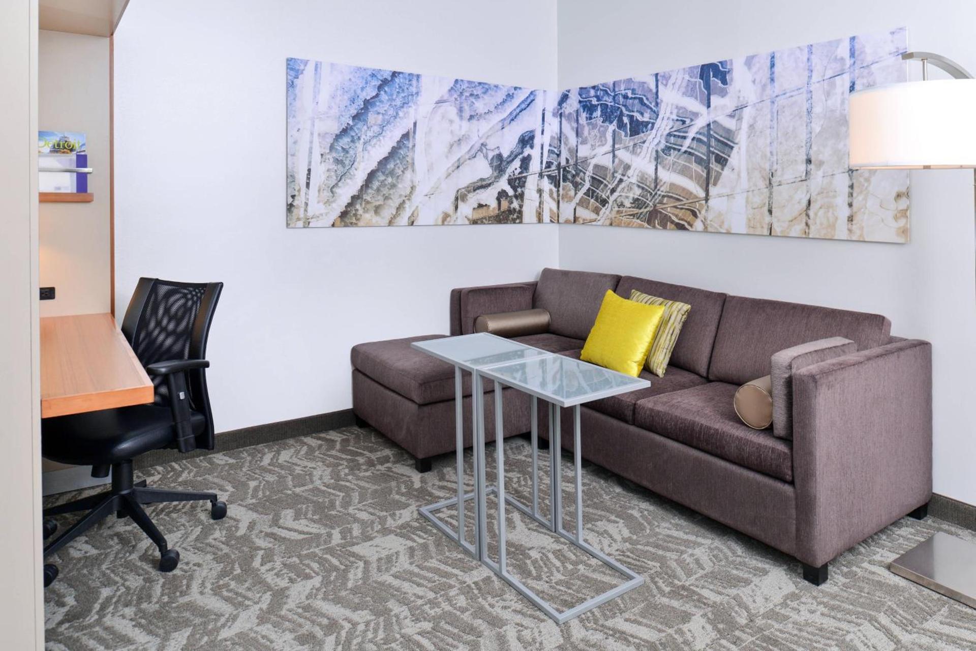 Springhill Suites by Marriott Detroit Metro Airport Romulus photo 20