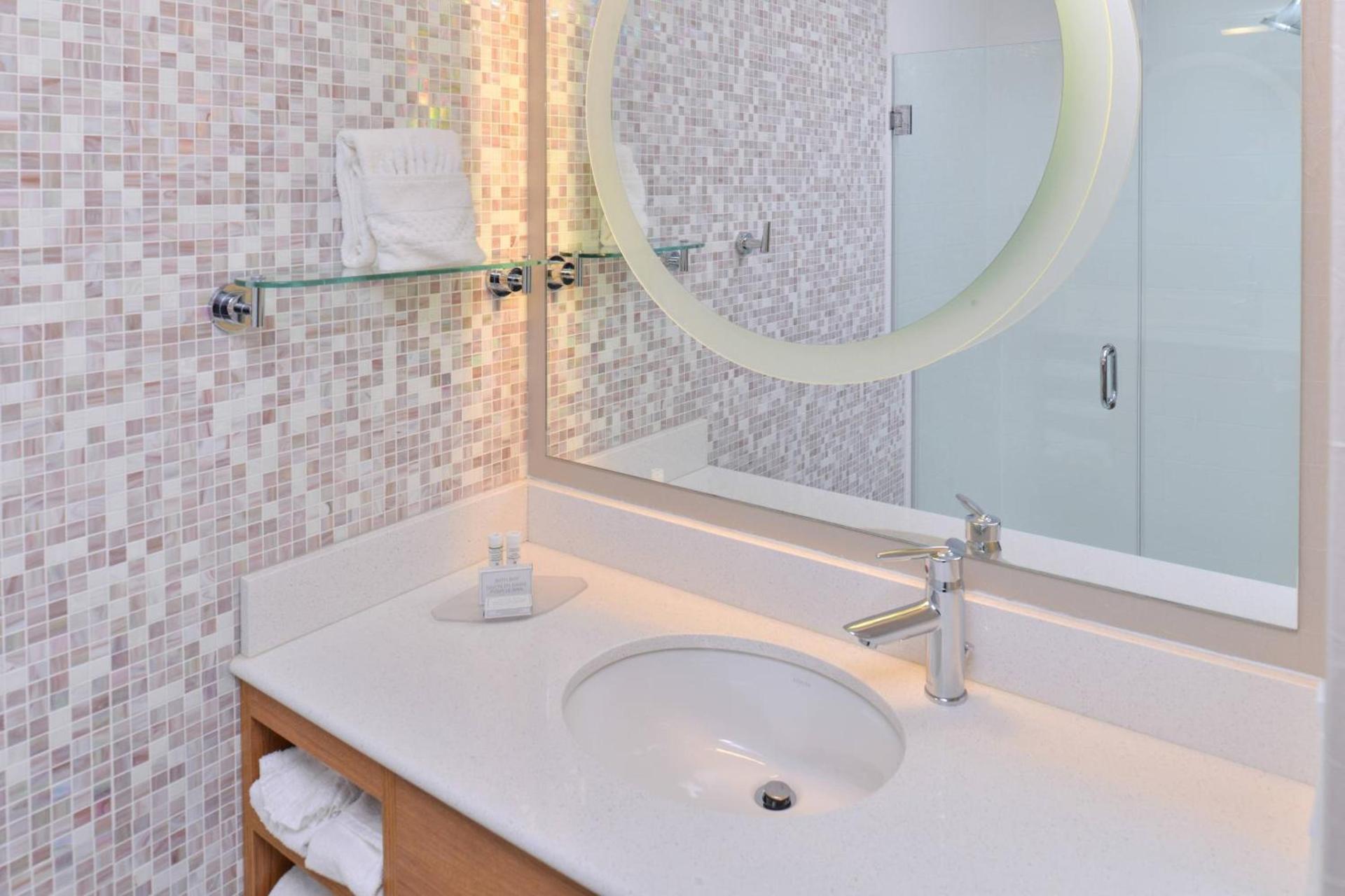Springhill Suites by Marriott Detroit Metro Airport Romulus photo 21