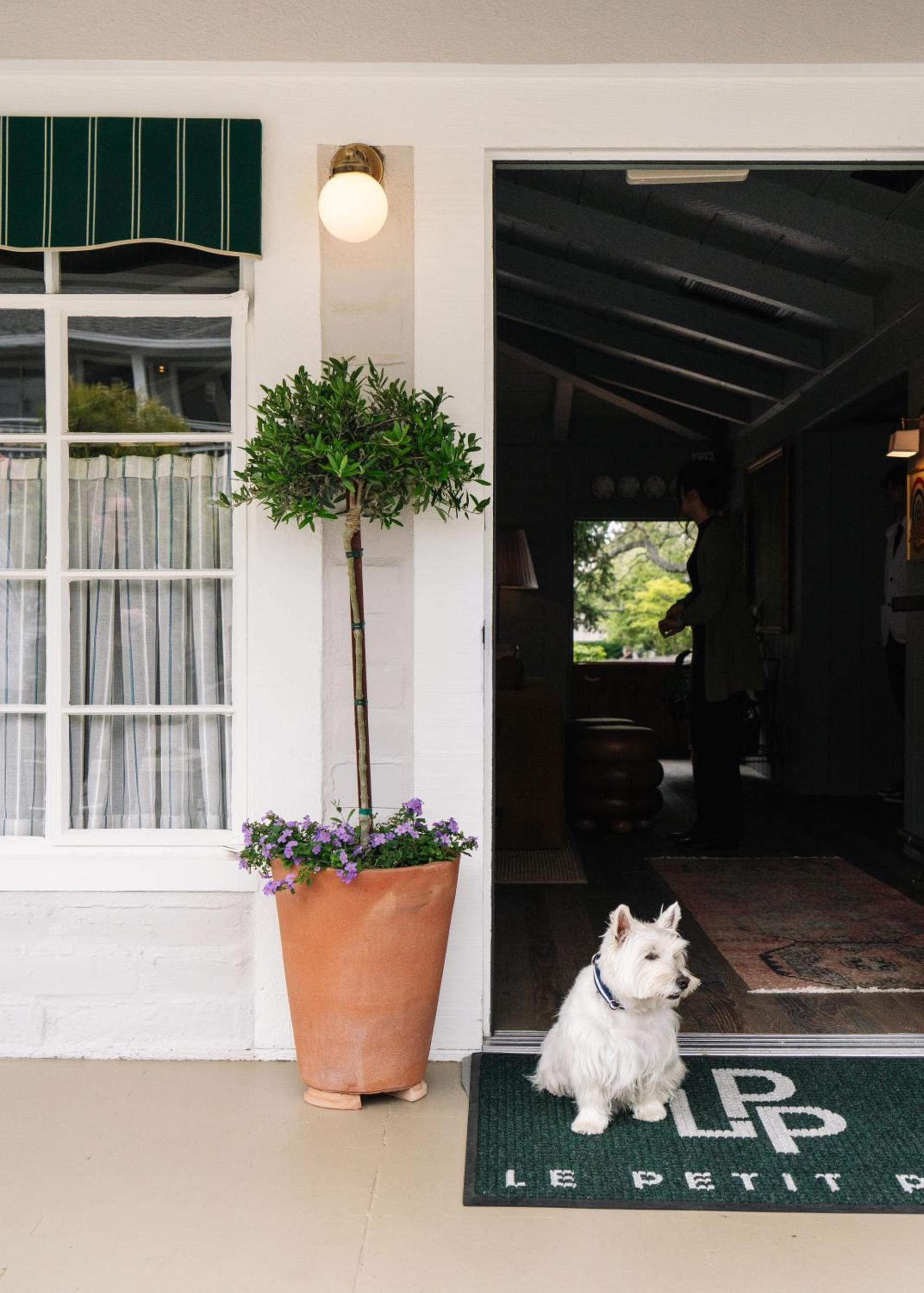 Le Petit Pali at Ocean Ave photo 8