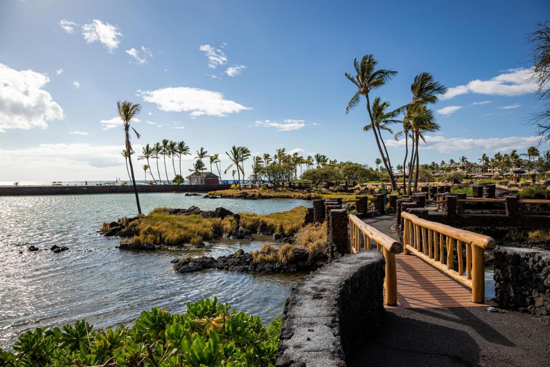 Waikoloa Beach Marriott Resort & Spa photo 85