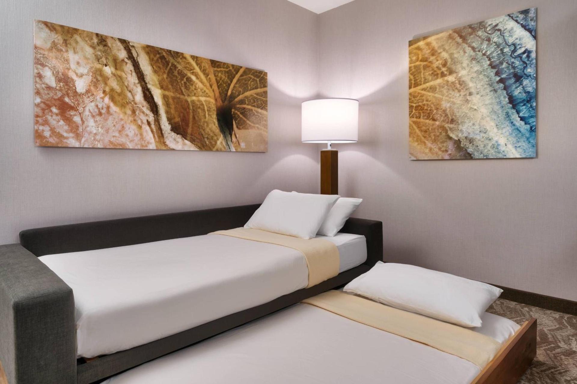 SpringHill Suites by Marriott El Paso Airport photo 13