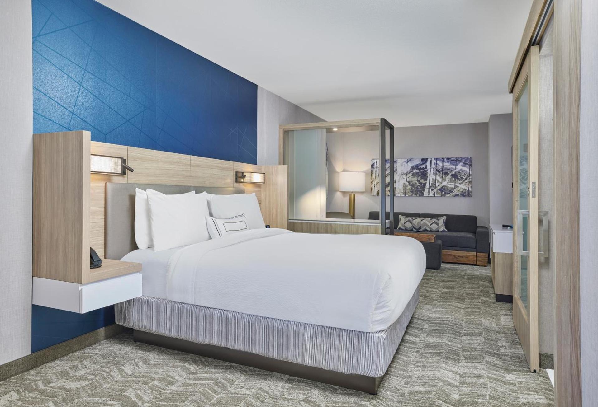 SpringHill Suites by Marriott Chicago Chinatown photo 5