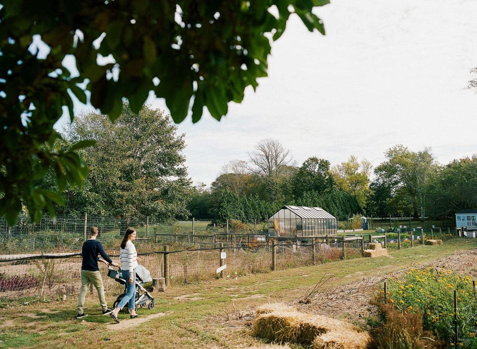 The Roundtree, Amagansett photo 54