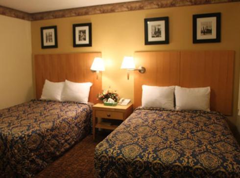 Stardust Motel photo 11